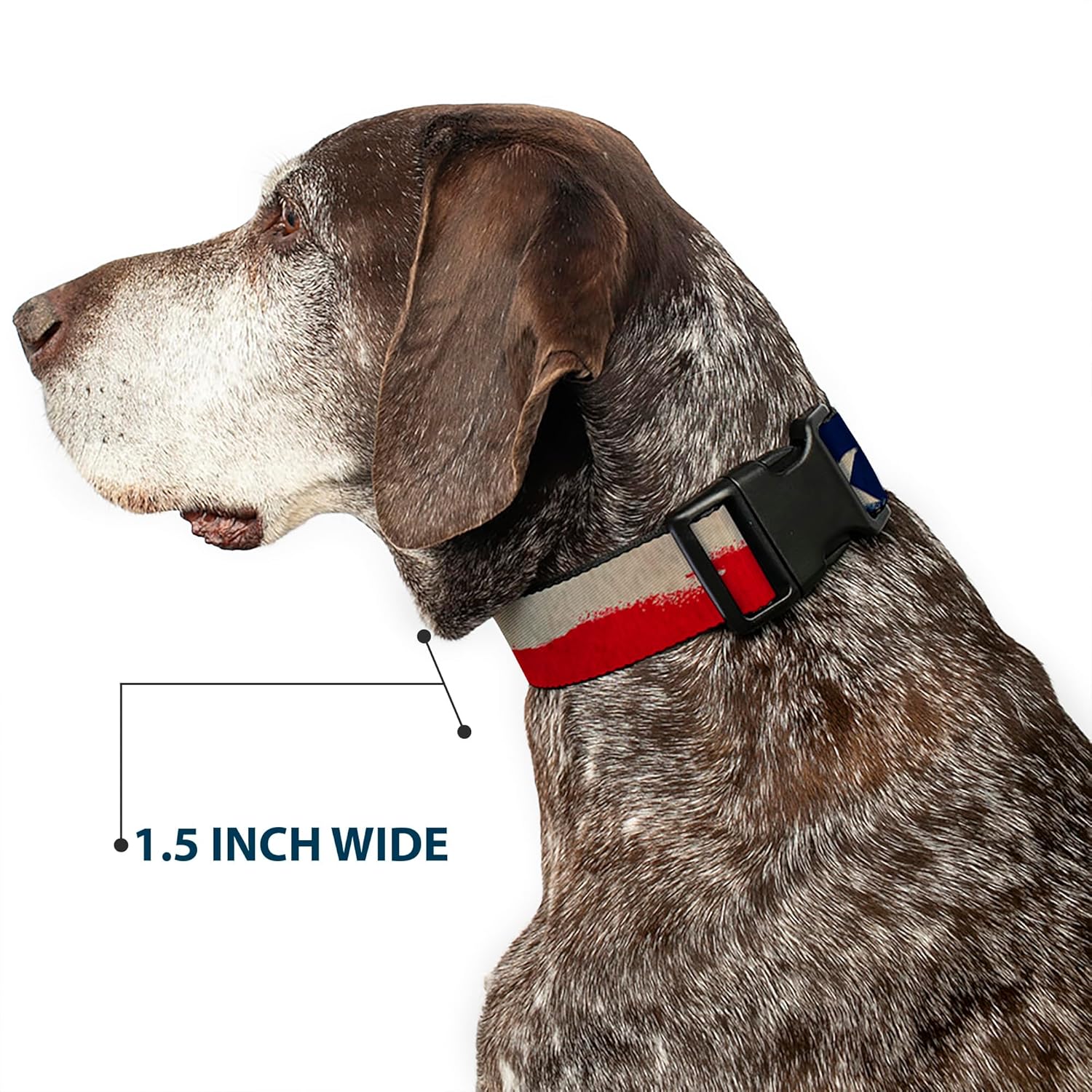 Buckle-Down Plastic Clip Collar - Texas Flag CLOSE-UP Distressed Painting - 1.5" Wide - Fits 16-23" Neck - Medium