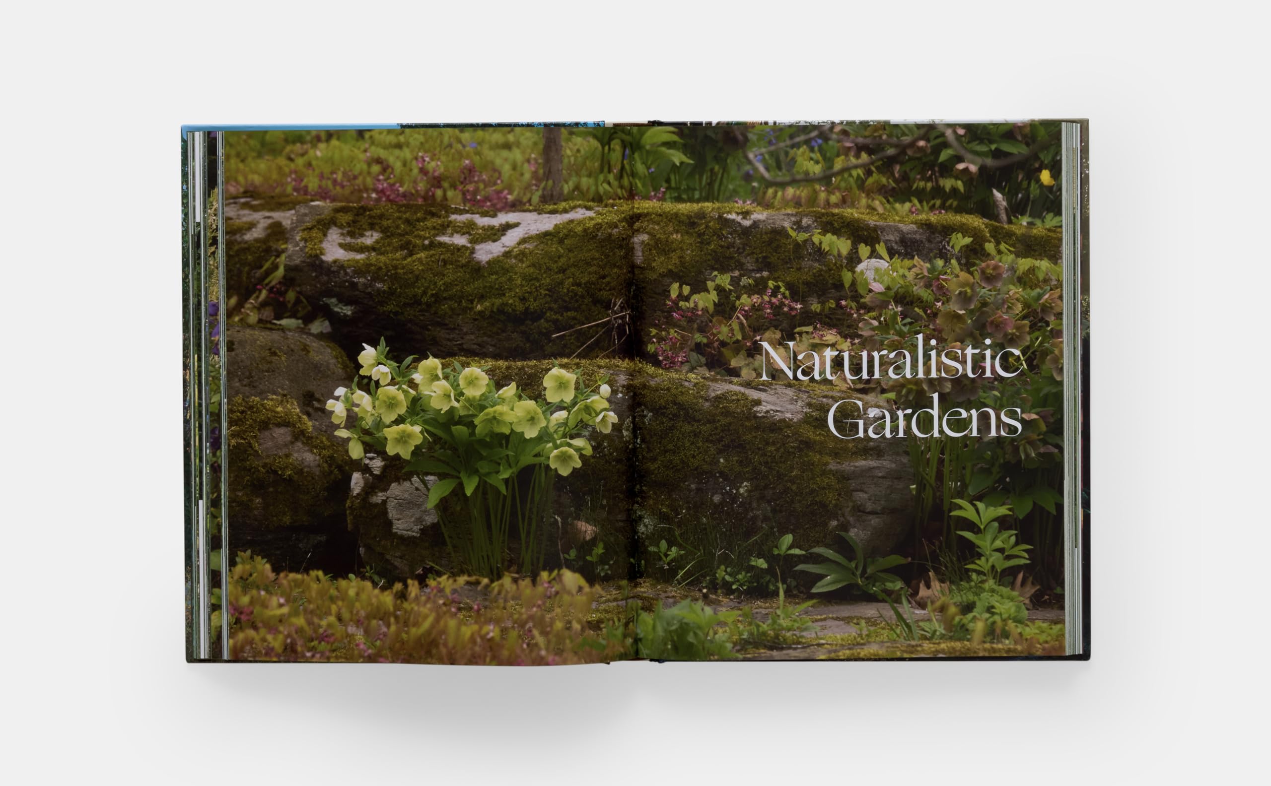 The Art of Fine Gardening: Craig Bergmann Landscape Design