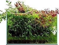 Vista 17 de UNS Acuario Ultra Claro Sin Borde - 25.6GAL 97.2L - 23.62x14.17x17.71 60x36x45 CM, Grosor de Vidrio de 6mm, Incluye Alfombrilla Nivelante