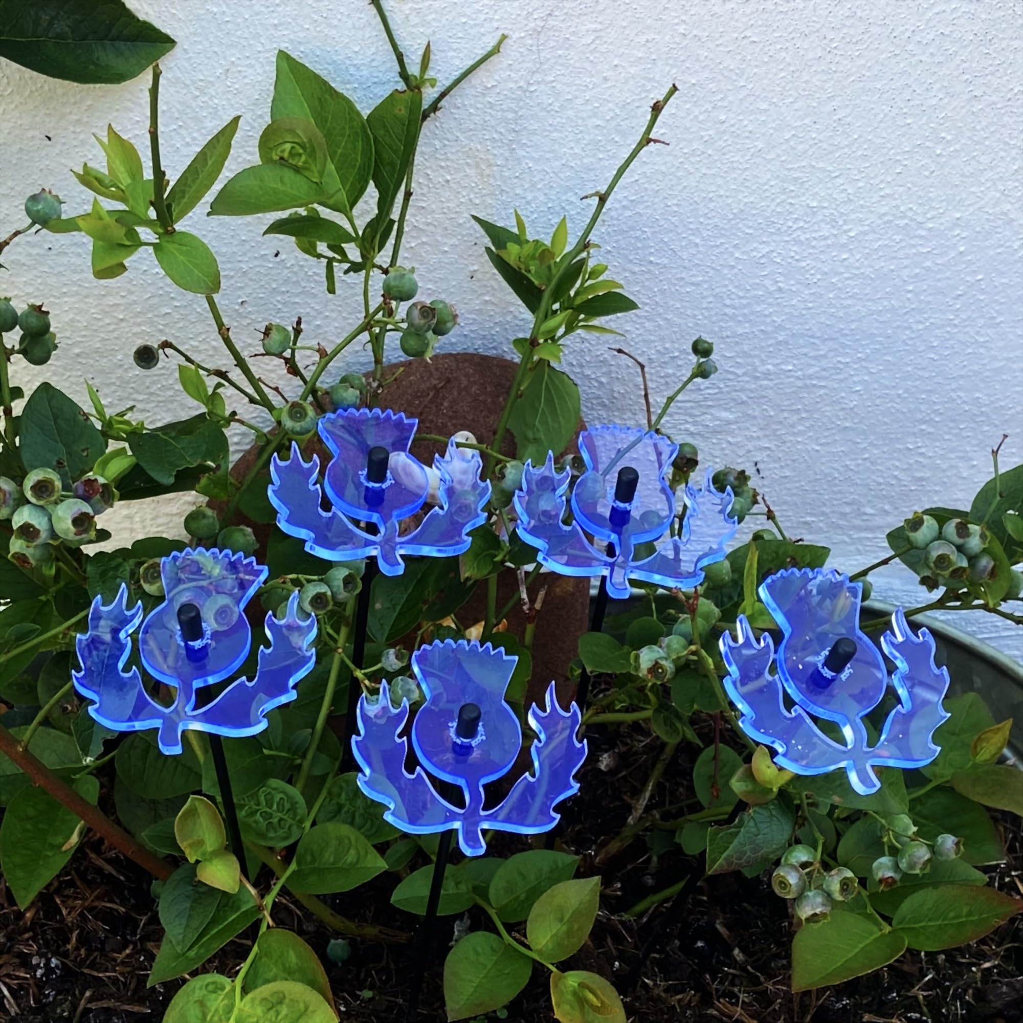 Sun Catcher Garden Decor Scottish Thistles 5 Garden Stakes Glowing Ornaments 25cm, 10 inch high, 6cm, 2.8 inch width Outdoor Gardeners Gift (fluorescent Blue)