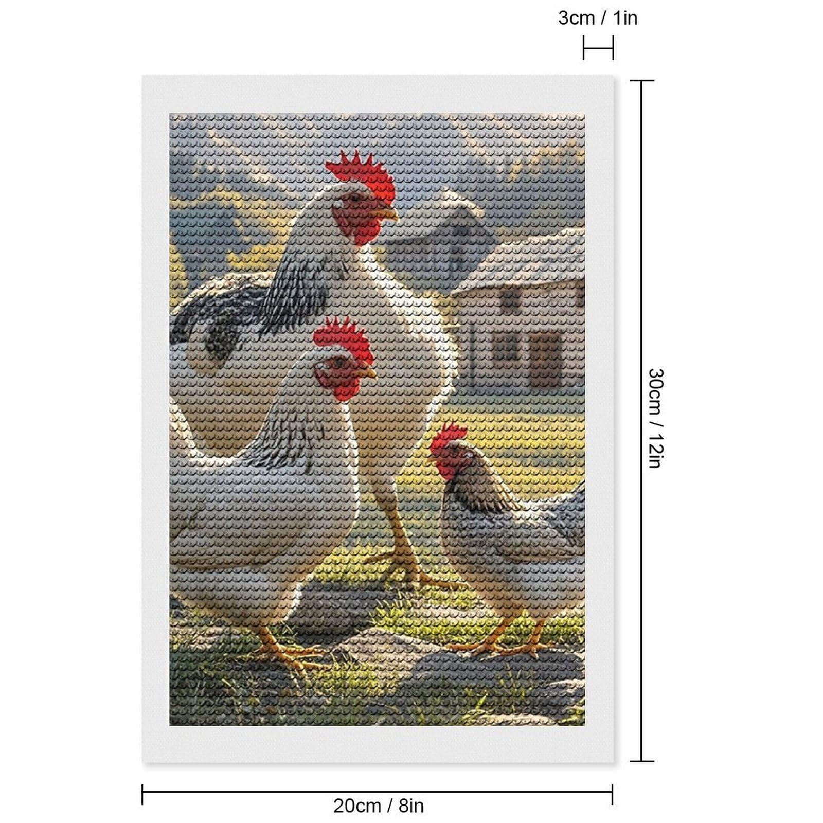 Amazon.com: QMKFWT Chickens and Farm Diamond Art Wall Kits Round