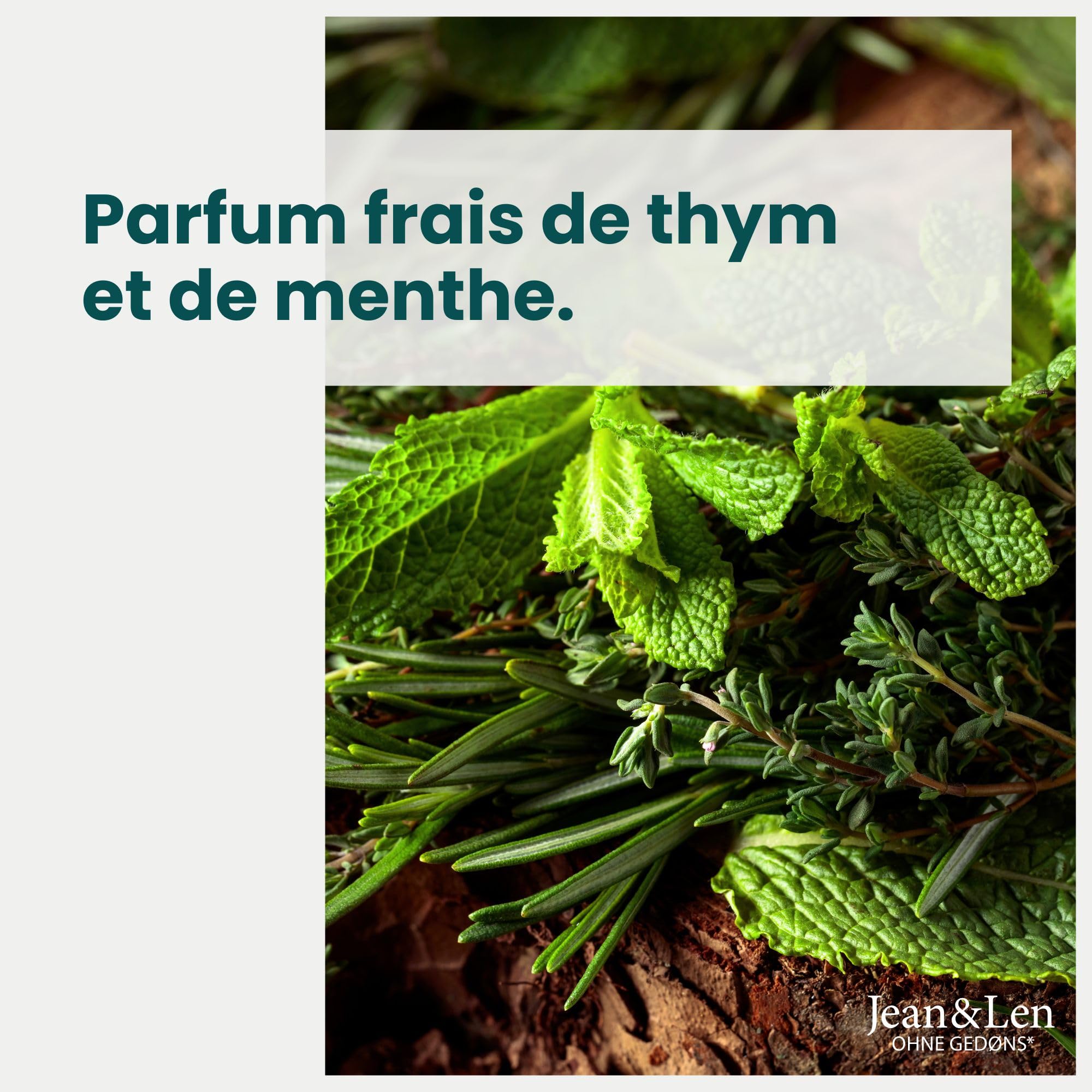 Jean & Len Shampooing antipelliculaire Thym & Menthe, formule végane, à la piroctone olamine, contre les pellicules, pour un usage quotidien, sans parabènes & silicones, végane, 300 ml