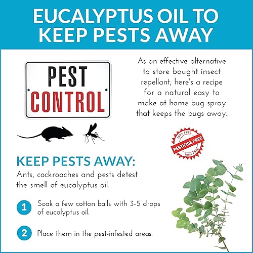 Miniatura 8 de artnaturals Aceite esencial de eucalipto 100 puro 033 onzas líquidas 03fl oz fragancia de grado terapéutico sin diluir calma la calma y humidificar