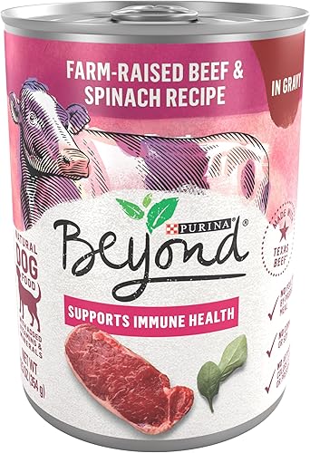 Purina Beyond - Comida húmeda para perros, sin cereales, sabor carne de res criada en granjas y espinacas en salsa, paquete de 12, latas de 12.5