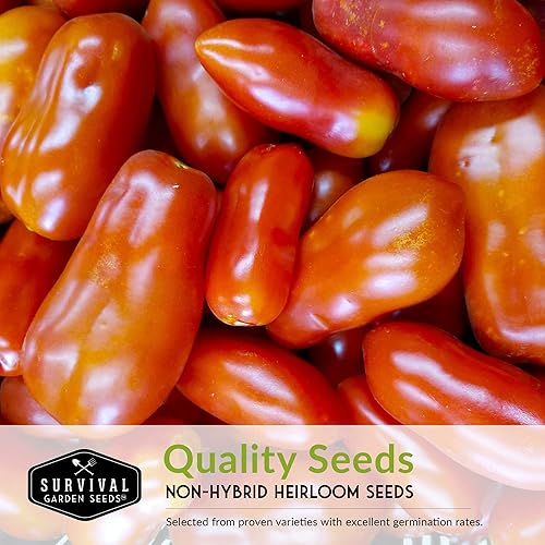 Survival Garden Seeds Colección Pasta de Tomate – Semillas de tomate Roma & San Marzano para plantar en el jardín – Variedades de semillas