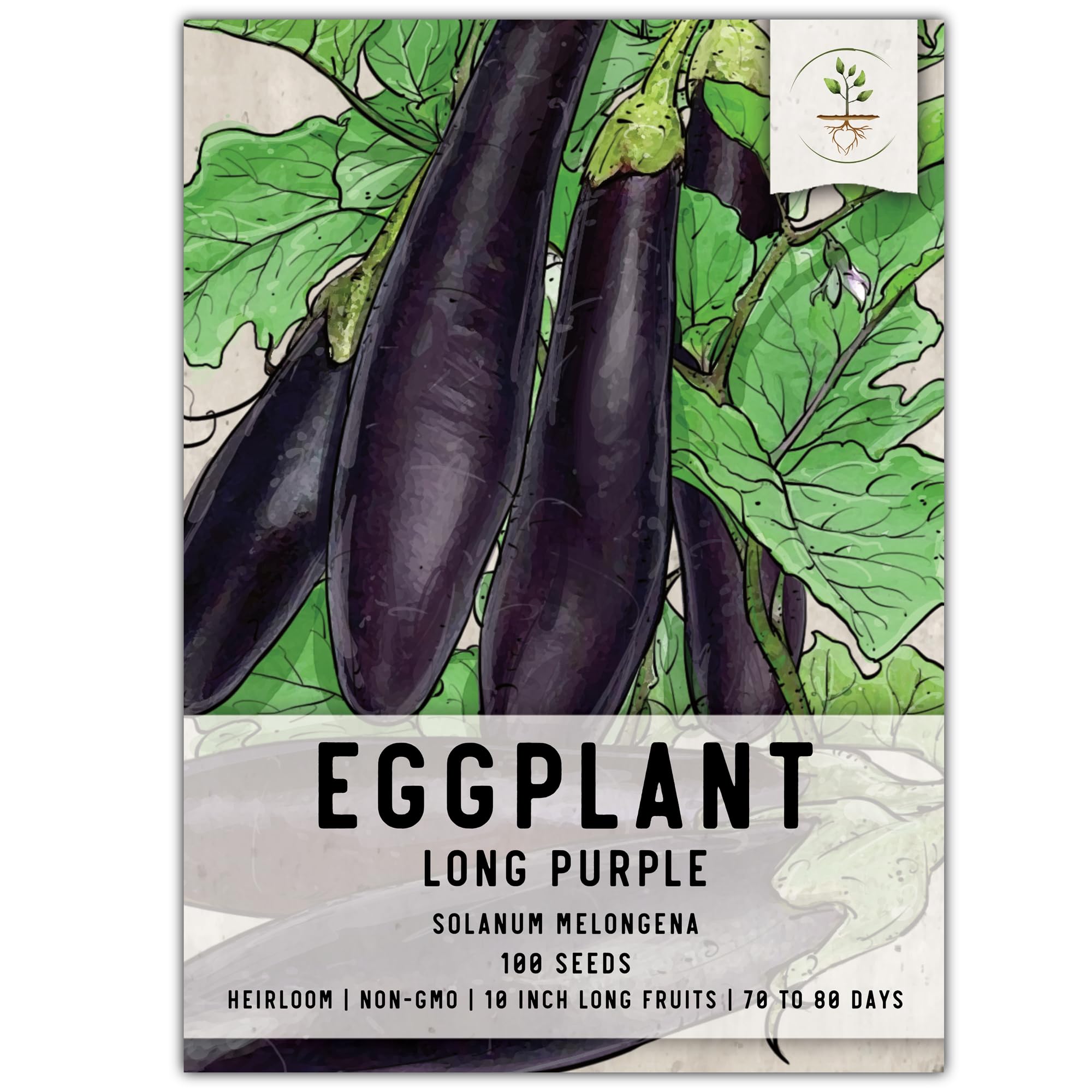 Seed Needs Eggplant Seeds for Planting Long Purple Eggplants - Non-GMO Heirloom & Untreated Annual Crops - Grow a Home Grown Vegetable Garden Outdoors (1 Pack)