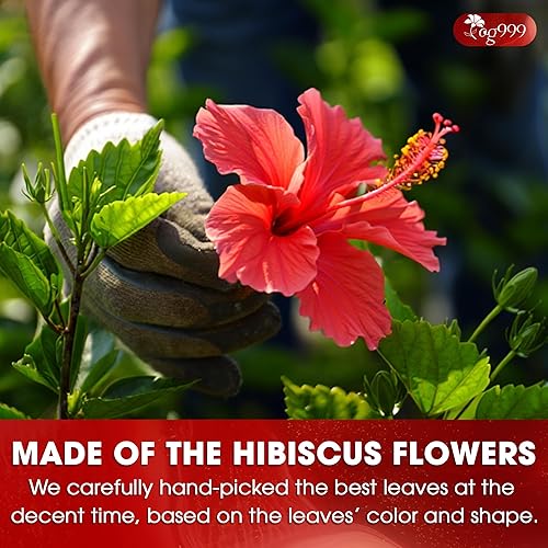 Miniatura 5 de TOG999, Flores de hibisco prémium de 16 onzas, pétalos secos, té de hierbas naturalmente sin cafeína, color vibrante y sabor floral agrio, sin OMG,