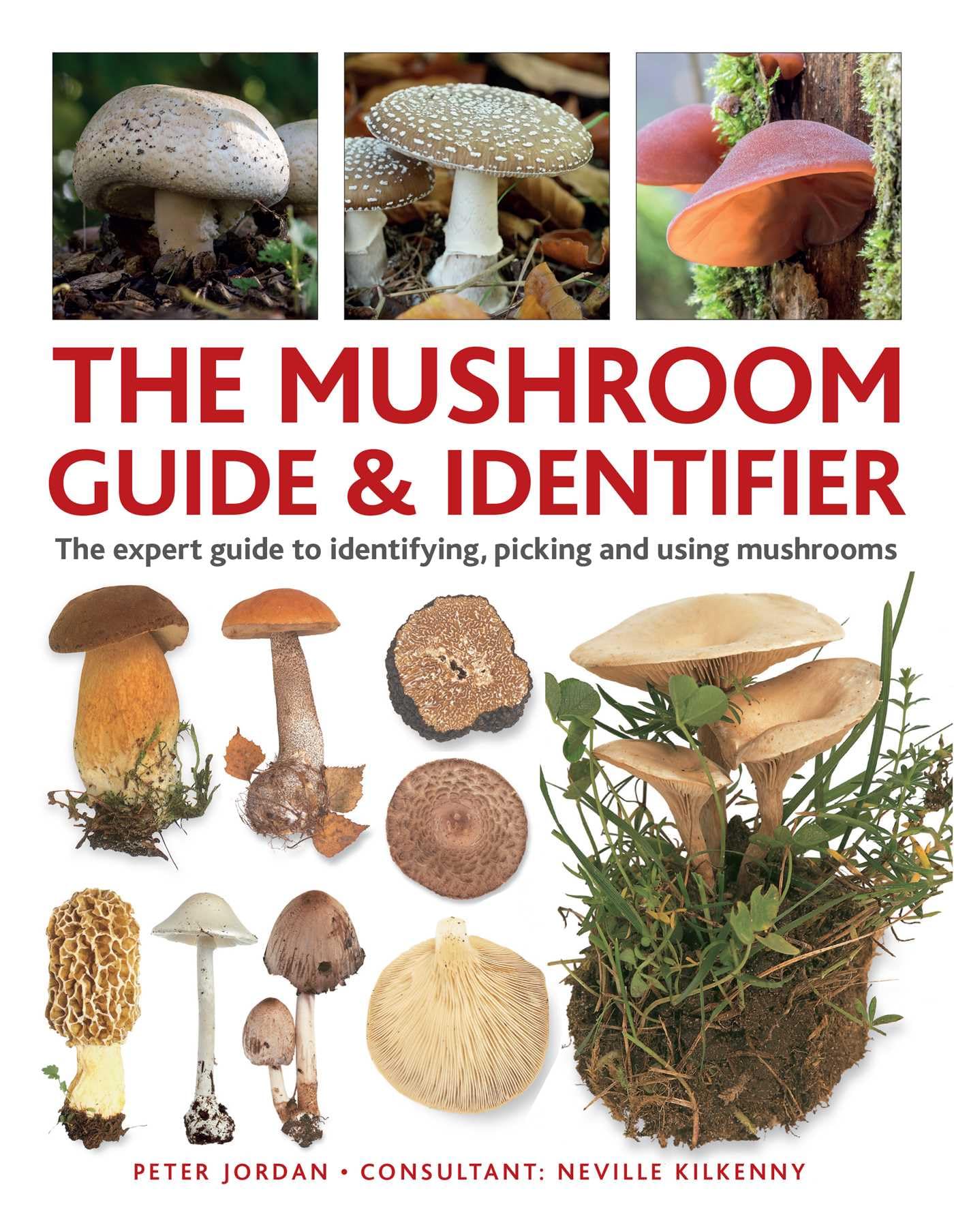The Mushroom Guide & Identifer by Peter Jordan, Neville Kilkenny - 9780754835332