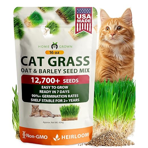 HOME GROWN 𝗨𝗦𝗔 𝗣𝗥𝗘𝗠𝗜𝗨𝗠 1 Pound Cat Grass Seeds for Cat & Kittens Oat & Barley Mix 100% 𝗡𝗢𝗡-𝗚𝗠𝗢 Heirloom, Grow Fresh Kitty Grass for Chewing, Pet Grass for Cats Indoor Garden