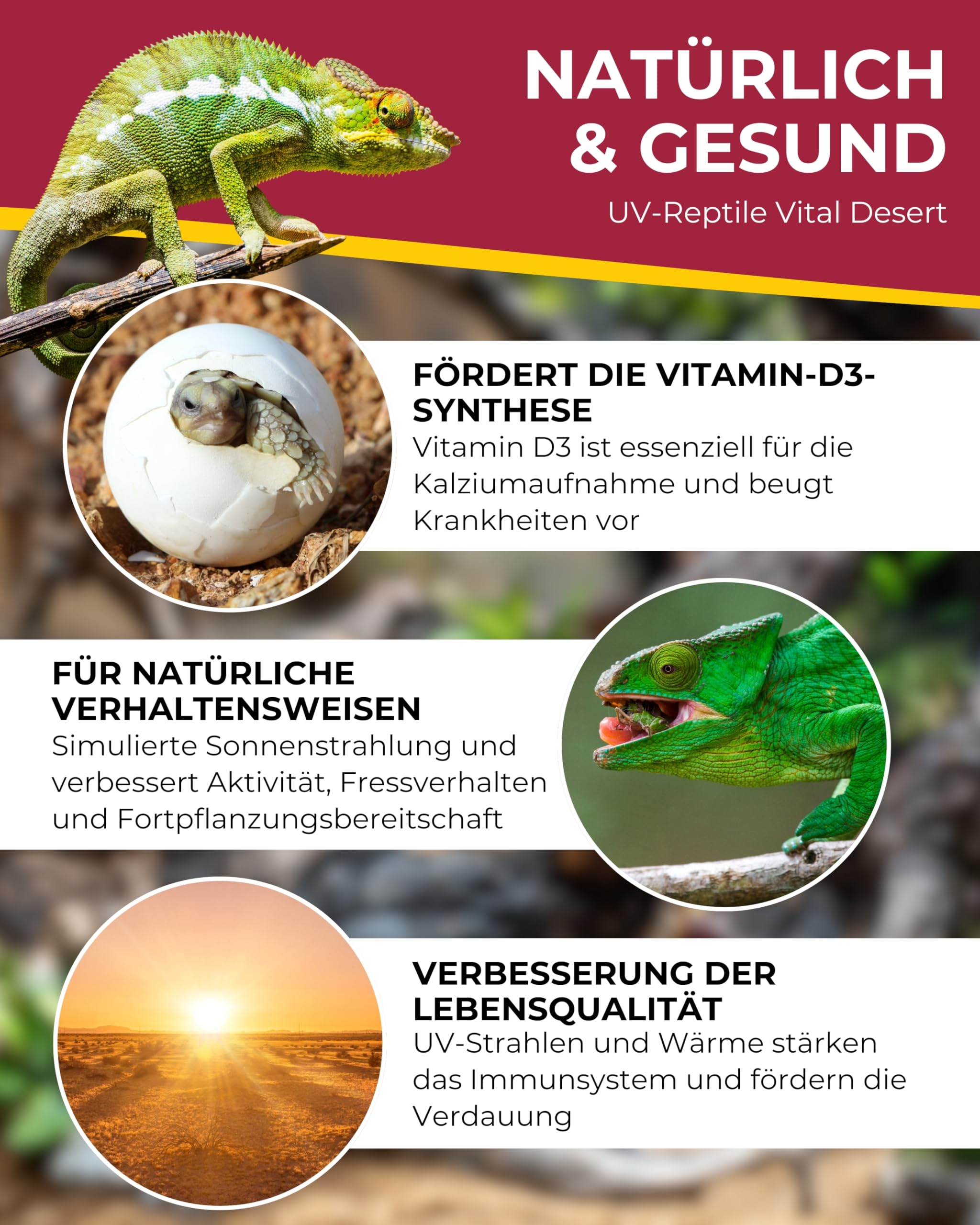 HOBBY Terraristik UV Reptile vital Desert UV-Lampe 100 W für Terrarien Reptilienhaltung UV-Flächenstrahler