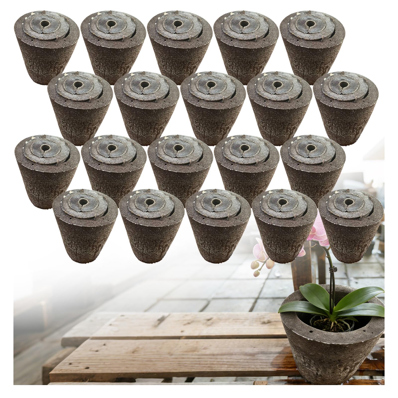 Premium Substrat pour Orchidées | Mélange Aéré et Drainant pour des Racines Saines | Idéal pour Le Rempotage des Phalaenopsis et Dendrobium (⌀9,20PCS)