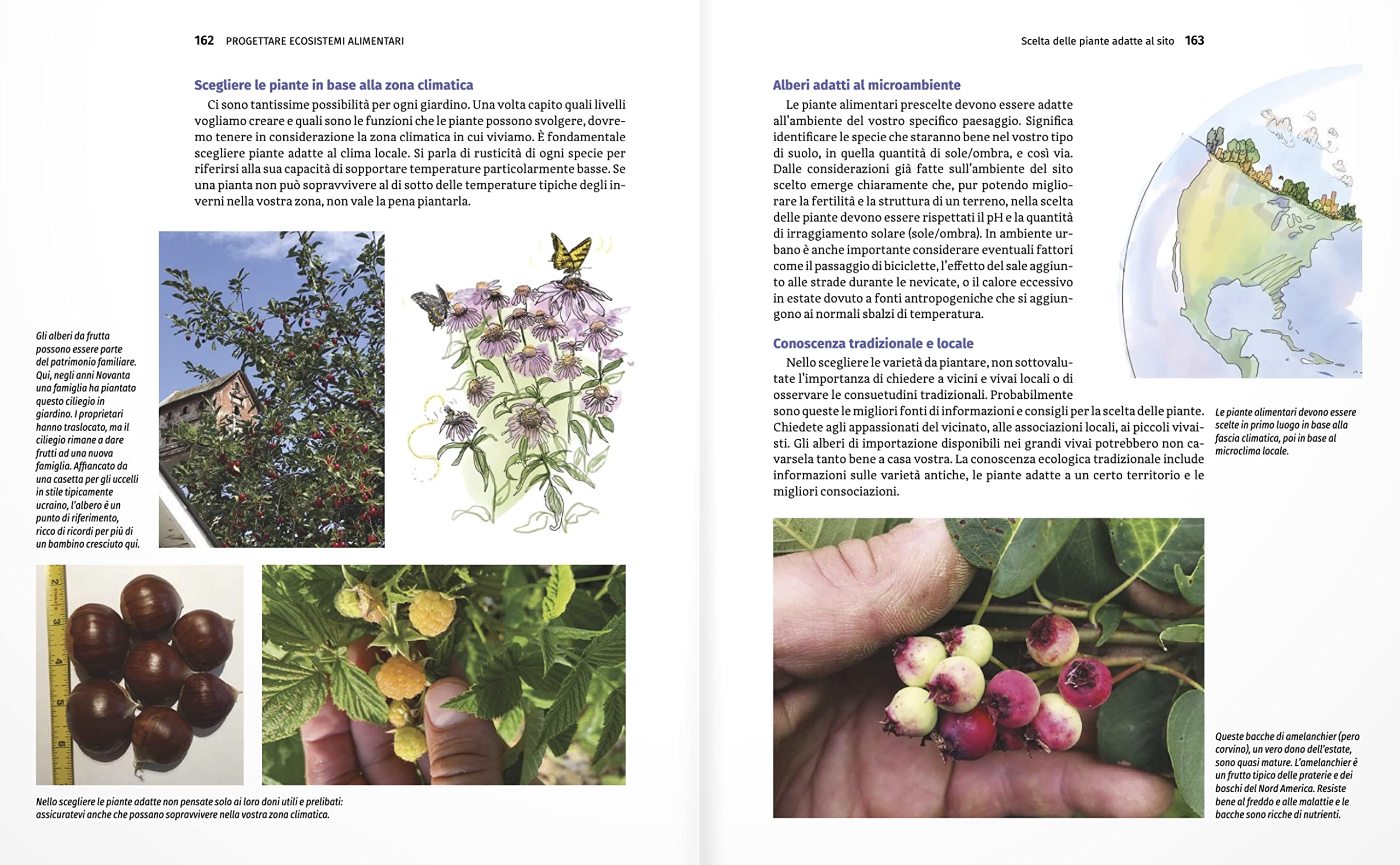 Progettare ecosistemi alimentari in permacultura. Come coltivare biodiversità in città e in campagna. Come coltivare biodiversità in città e in campagna
