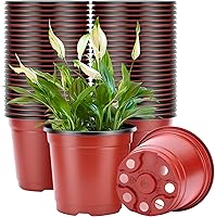 VIVOSUN 50 Pack 6 Inch Nursery Pots - Durable Plastic Seed Starting Pots for Seedlings, Cuttings, Transplanting with Drainage Holes