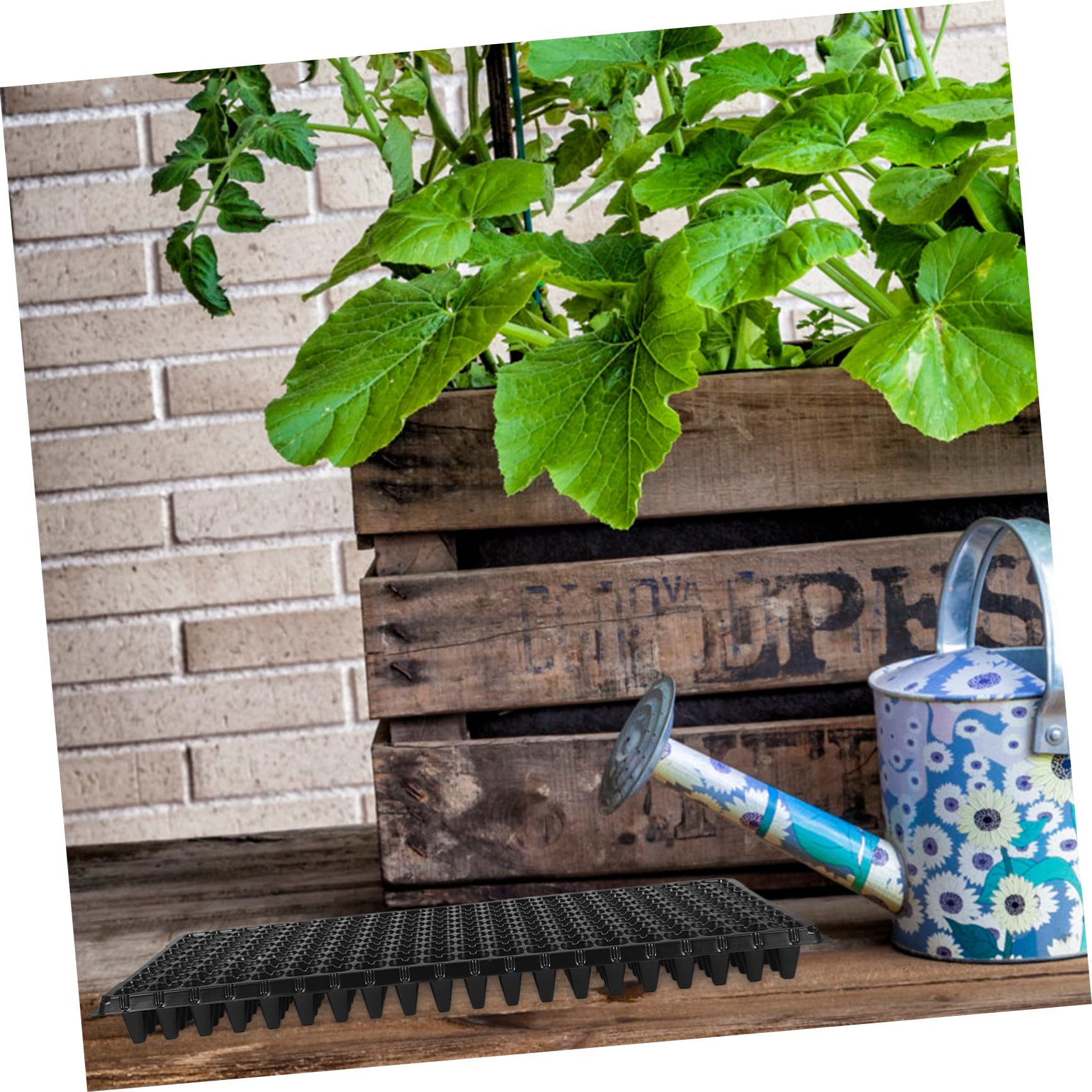 GANAZONO Kit de Germinación de Semillas 10 Bandejas de Cultivo de PVC Negro, Diseño de 200 Celdas Buena Ventilación y Fácil Extracción para Jardinería en Casa