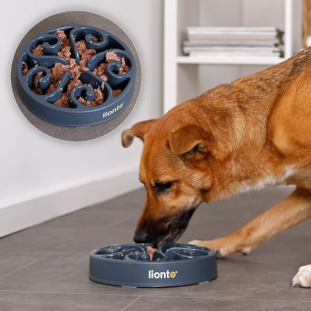 Foto 2 de 4 de lionto Comedero Anti-voracidad para Perros y Gatos, Ø 20 cm, Altura 5 cm, hasta 450 g