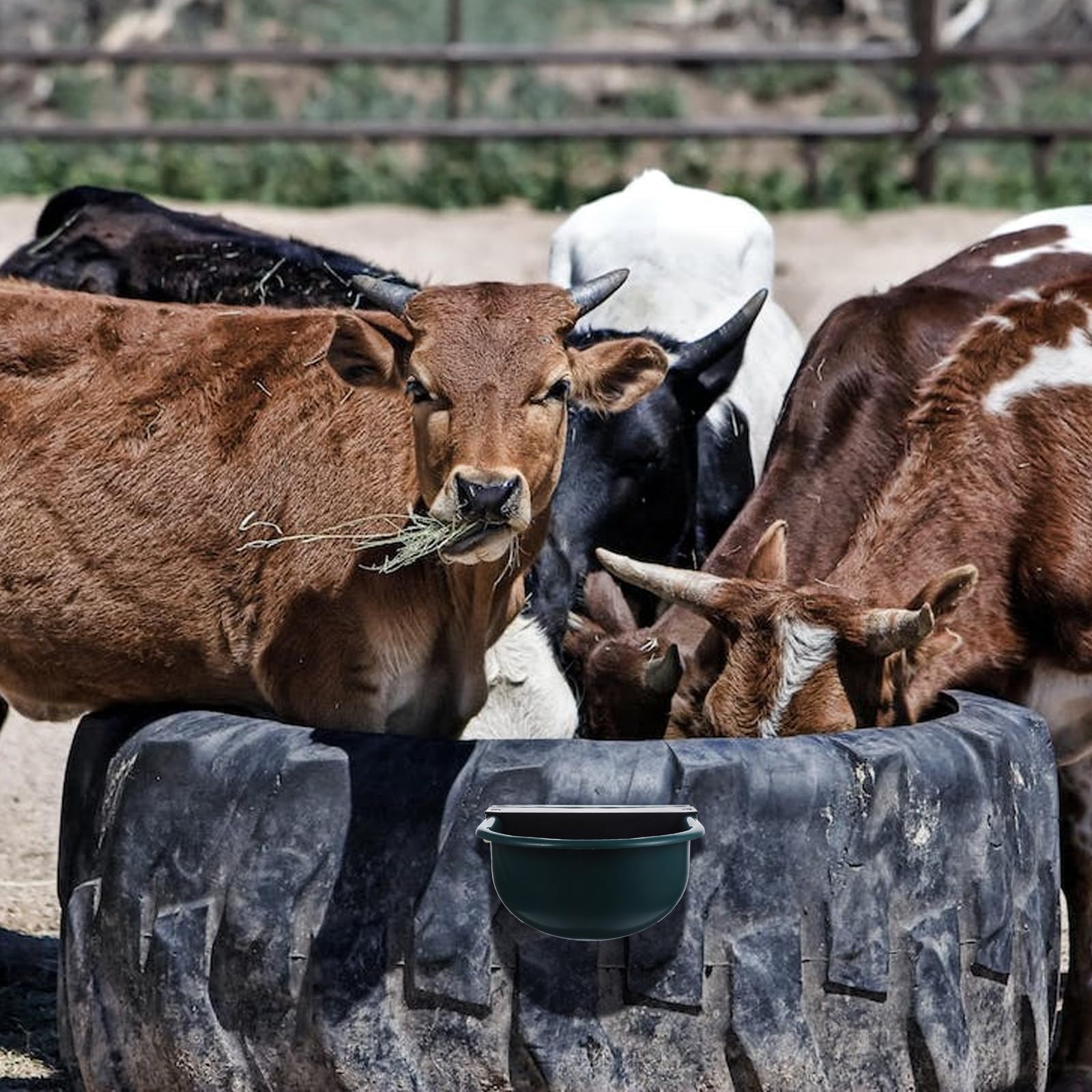 Bebedero Flotador Automático por Control Nivel Vacas