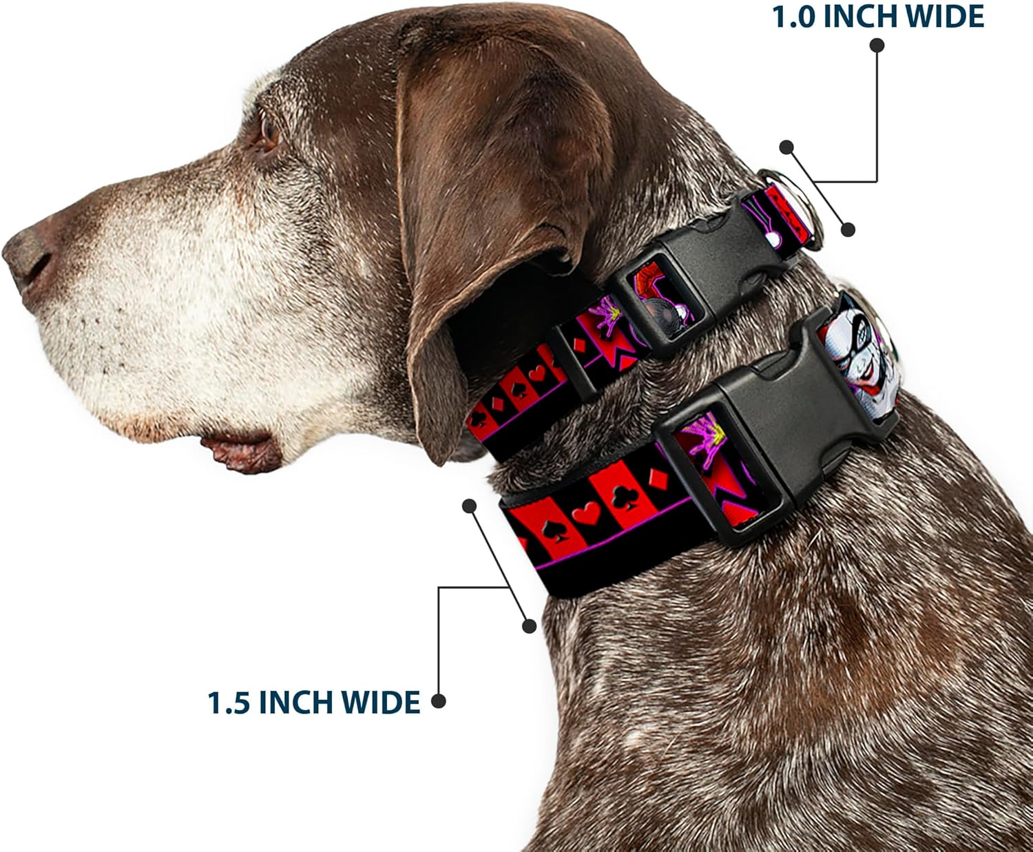 Dog Collar Plastic Clip Harley Quinn Bomb Poses Suits Black Purple Red 18 to 32 Inches 1.5 Inch Wide