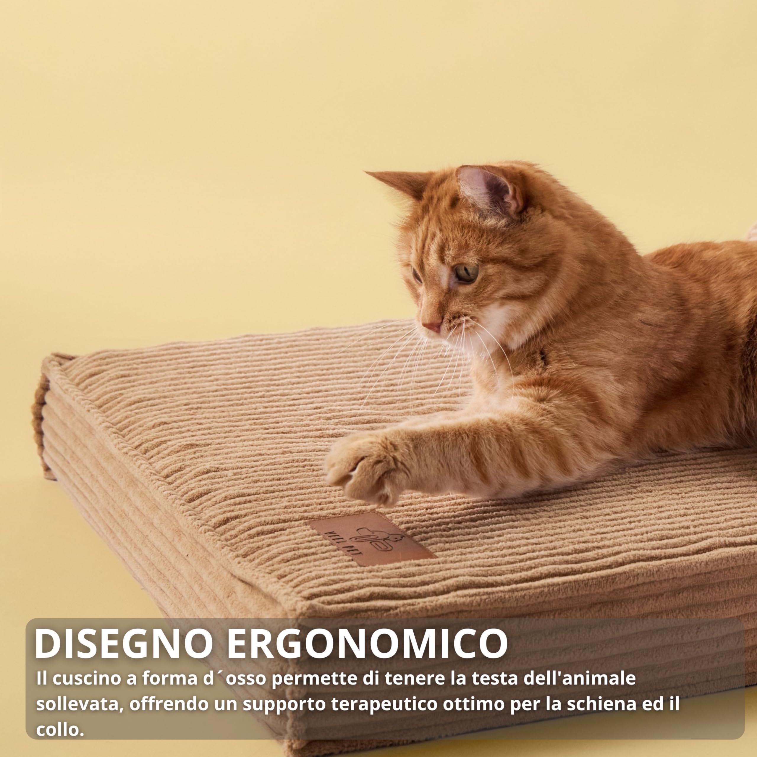 Cuccia Gatto Ortopedica con Cuscino Sfoderabile e Lavabile – Materasso Alta Densità Impermeabile, Base Antiscivolo, Letto Comfort per Gatti Adulti e Anziani, Design Premium (SMALL)