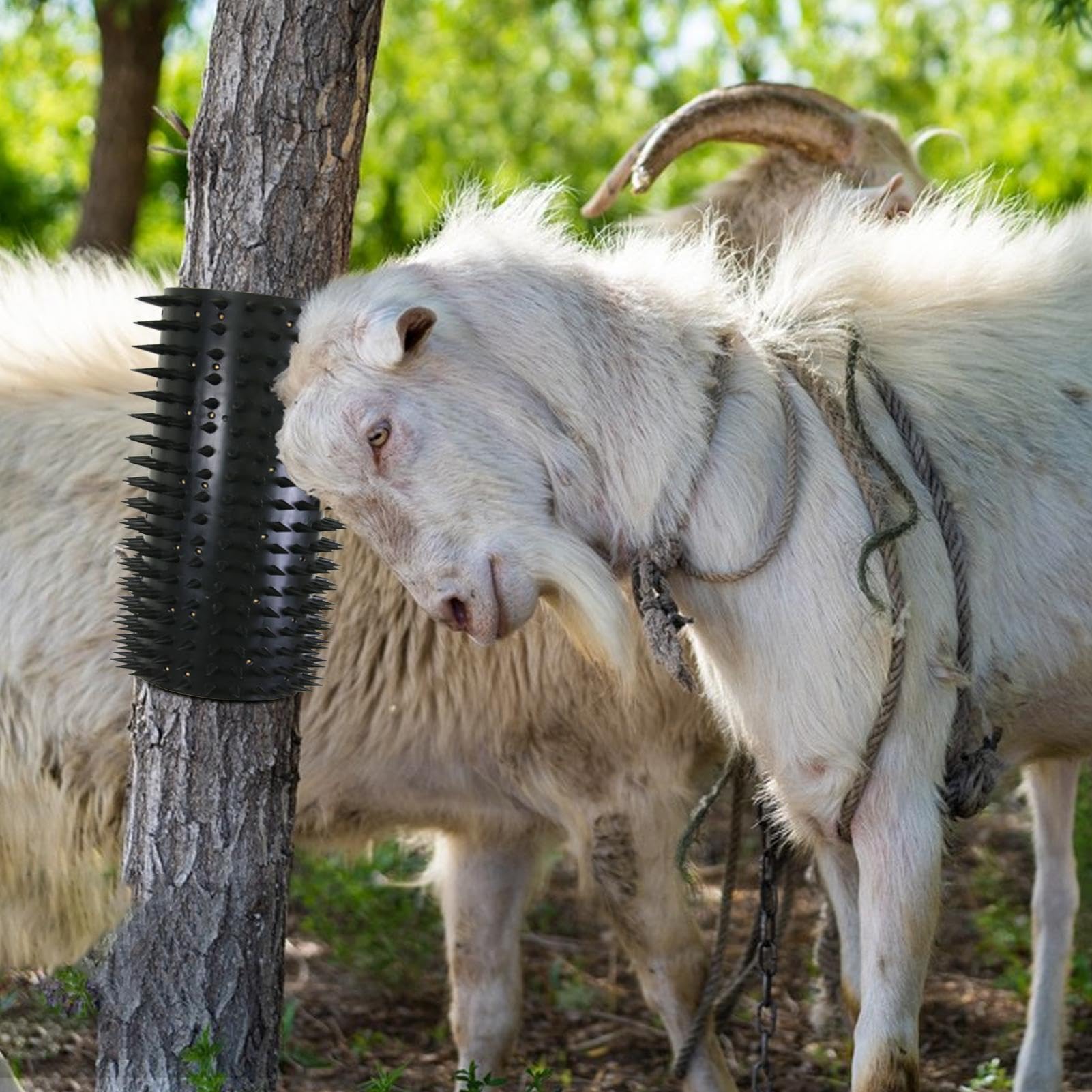 Horse K16.5*13in Equine & Bovine Massage Brush Kit With 40 Nails,Cattle Scratching Post, Cow - View #5