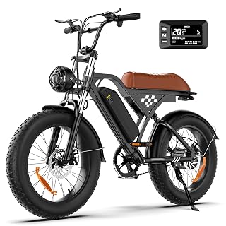 Electric Bike, 1000W/750W/500W Peak Motor, 75/60/55 Miles & 20MPH, 26''/20''/14'' Tires, Removable Battery E-Bikes, Shock Absorber, Commuting Electric Bike for Adults - Amazon product rated Grade A