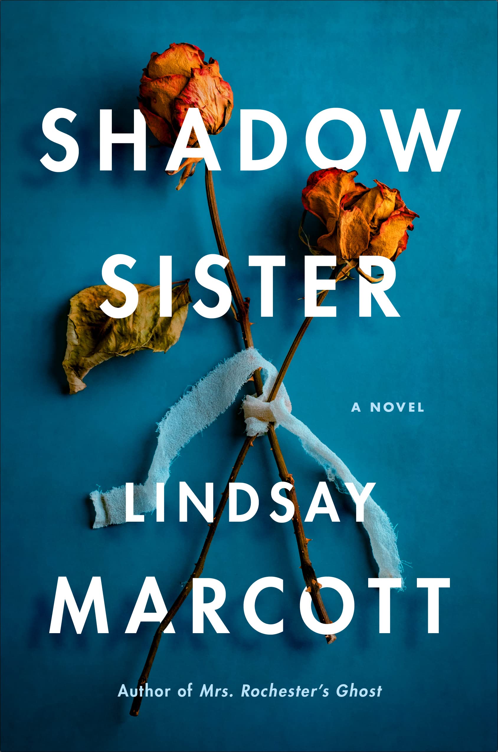 Shadow Sister