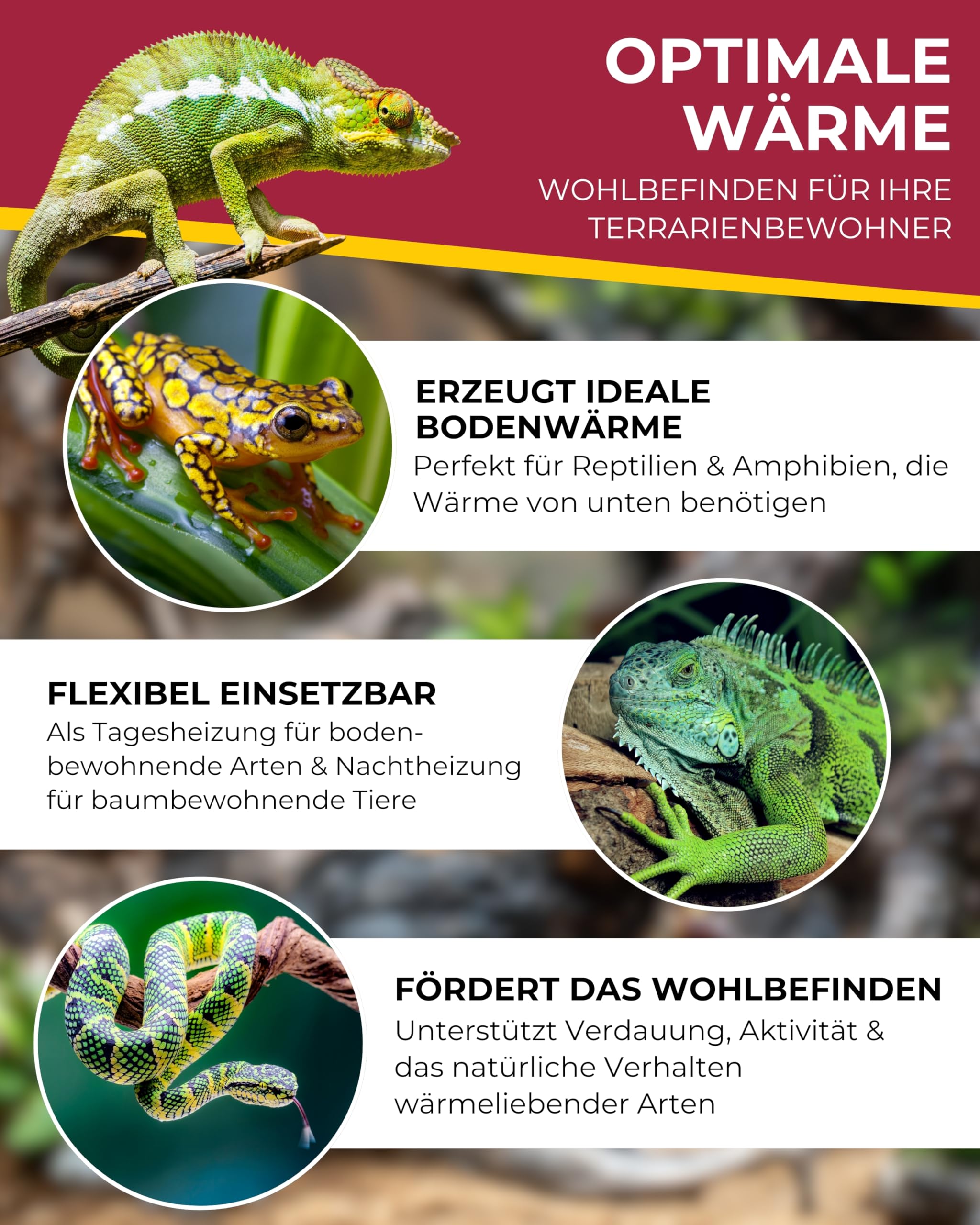 HOBBY Terraristik Terra-Thermo I Heizkabel für Terrarien I 3 m 15 Watt I Wärmekabel zur Temperaturregulierung I doppelt silikonummantelt und wasserdicht I Terrarienheizung für Reptilien und Amphibien