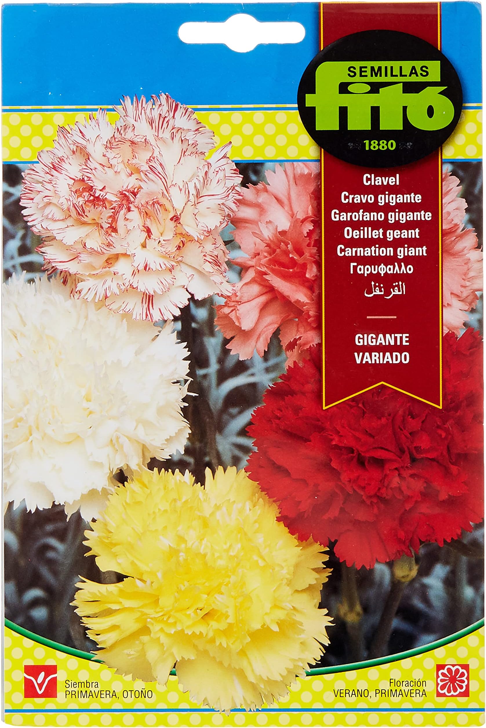 SEMILLAS FITO Carnation Giant Gigante Variado, Multi Color, 615