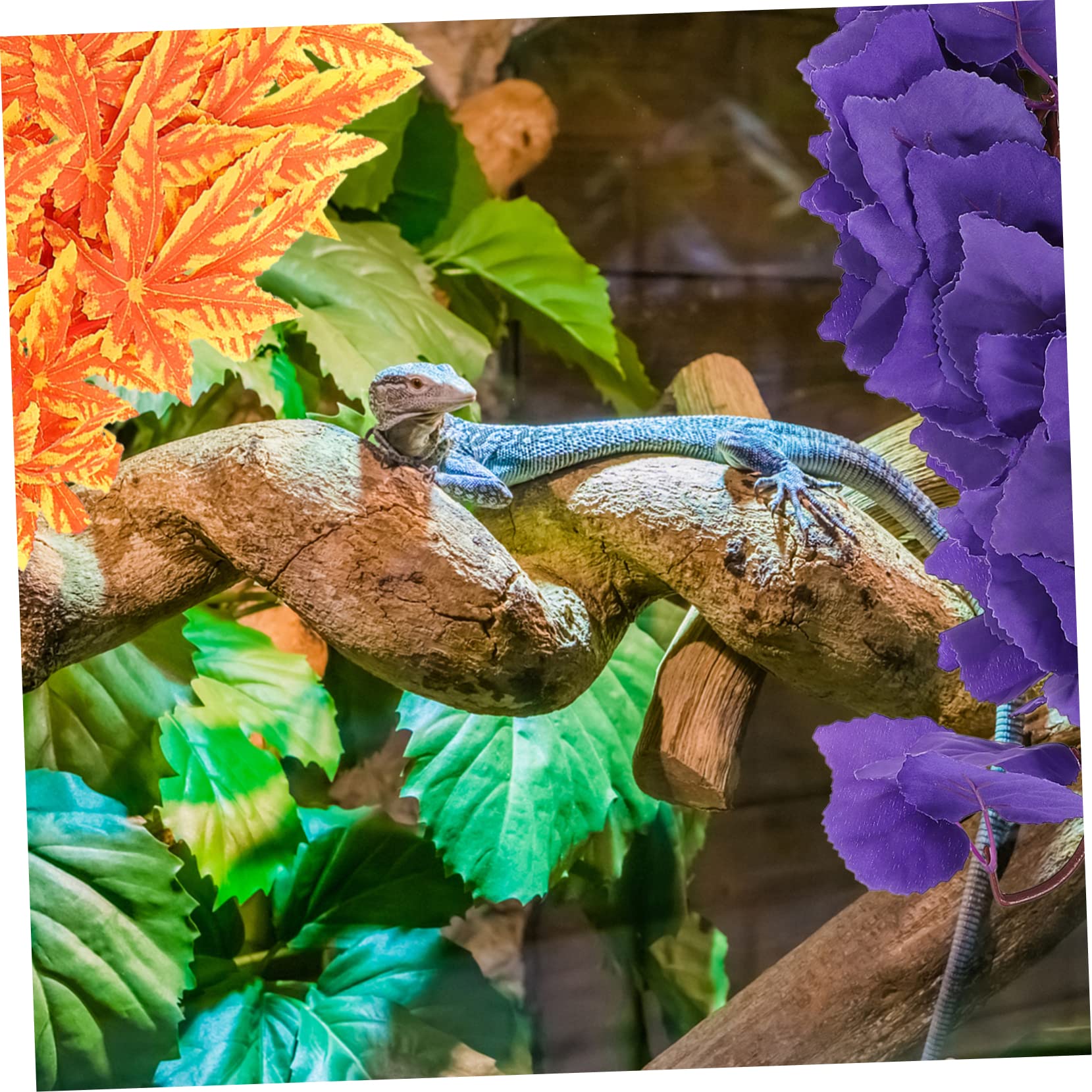 Yardwe 6 Stück Kletterbox Für Haustiere Rattan Realistische Lebensräume Für Reptilien Pflanzen Pflanzenschmuck Künstliche Pflanze Reptilien Reptilienbecken Zubehör