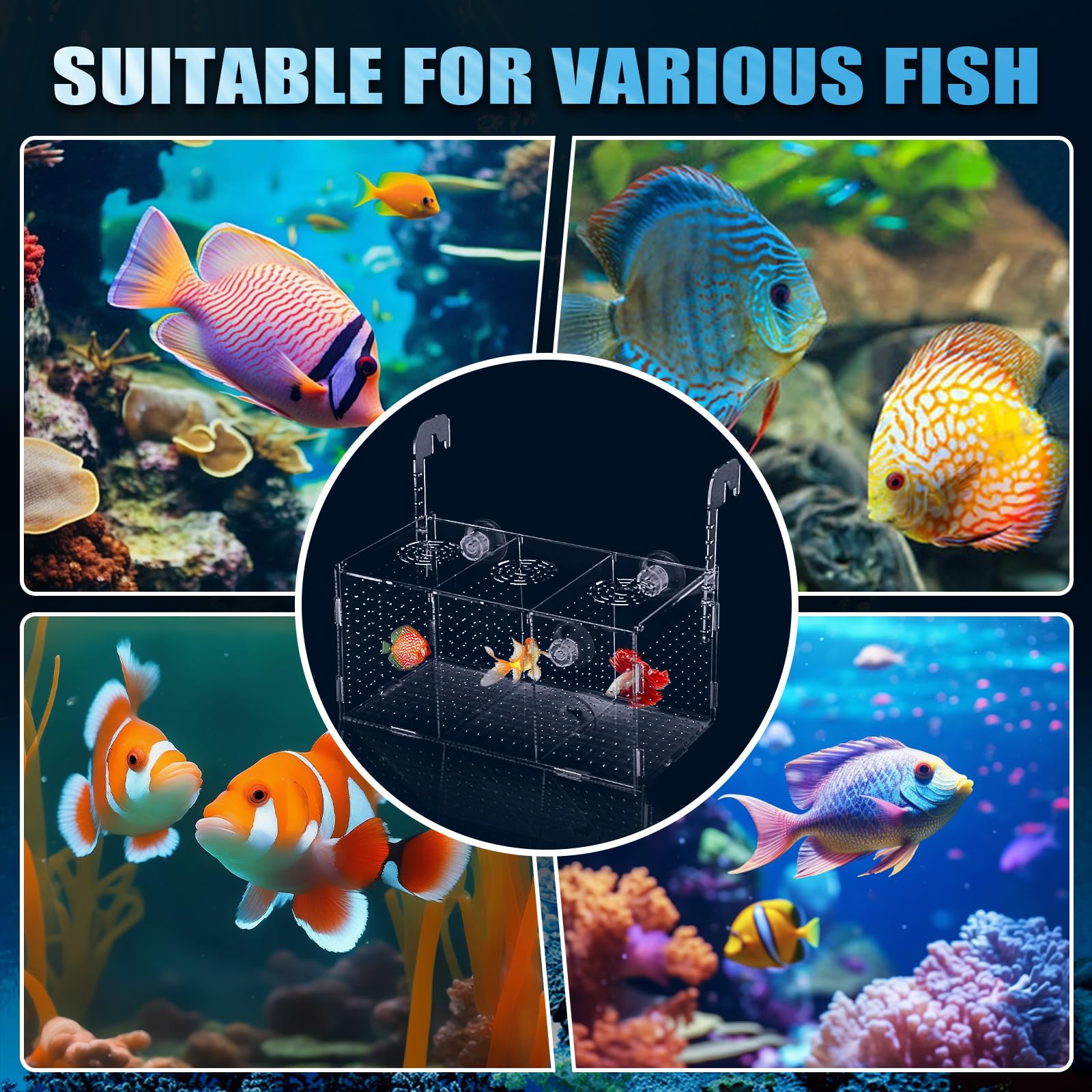 yyoemas Aquarium Breeding Tank