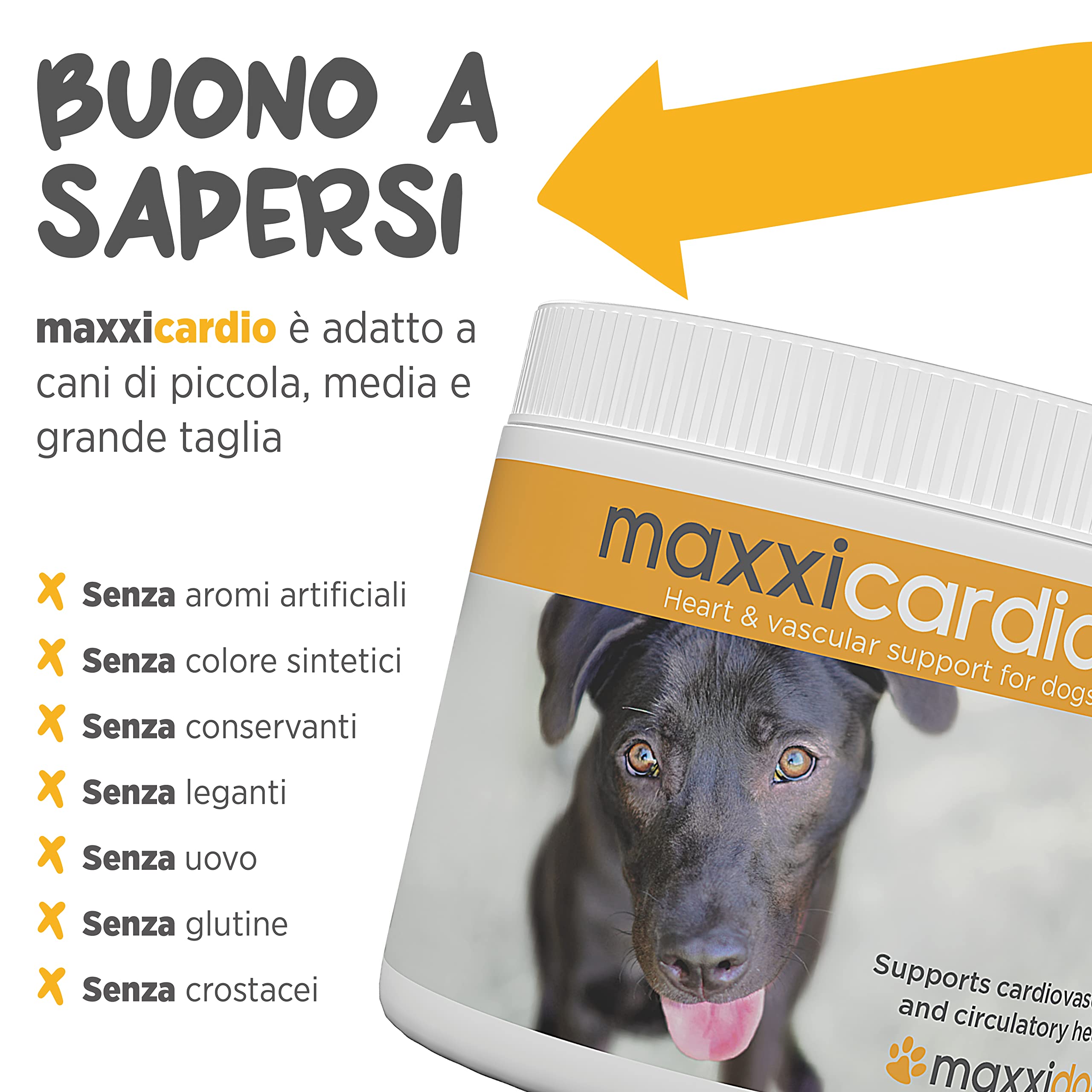 maxxipaws maxxicardio Salute Cardiaca e Cardiovascolare per Cani - Integratore in Polvere, 150g
