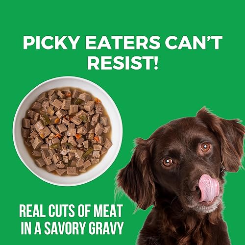 Miniatura 6 de KOHA Pike Place Plato de estofado para perros con carne de res y salmón, comida húmeda para perros con alto contenido de proteínas, latas de 12.7