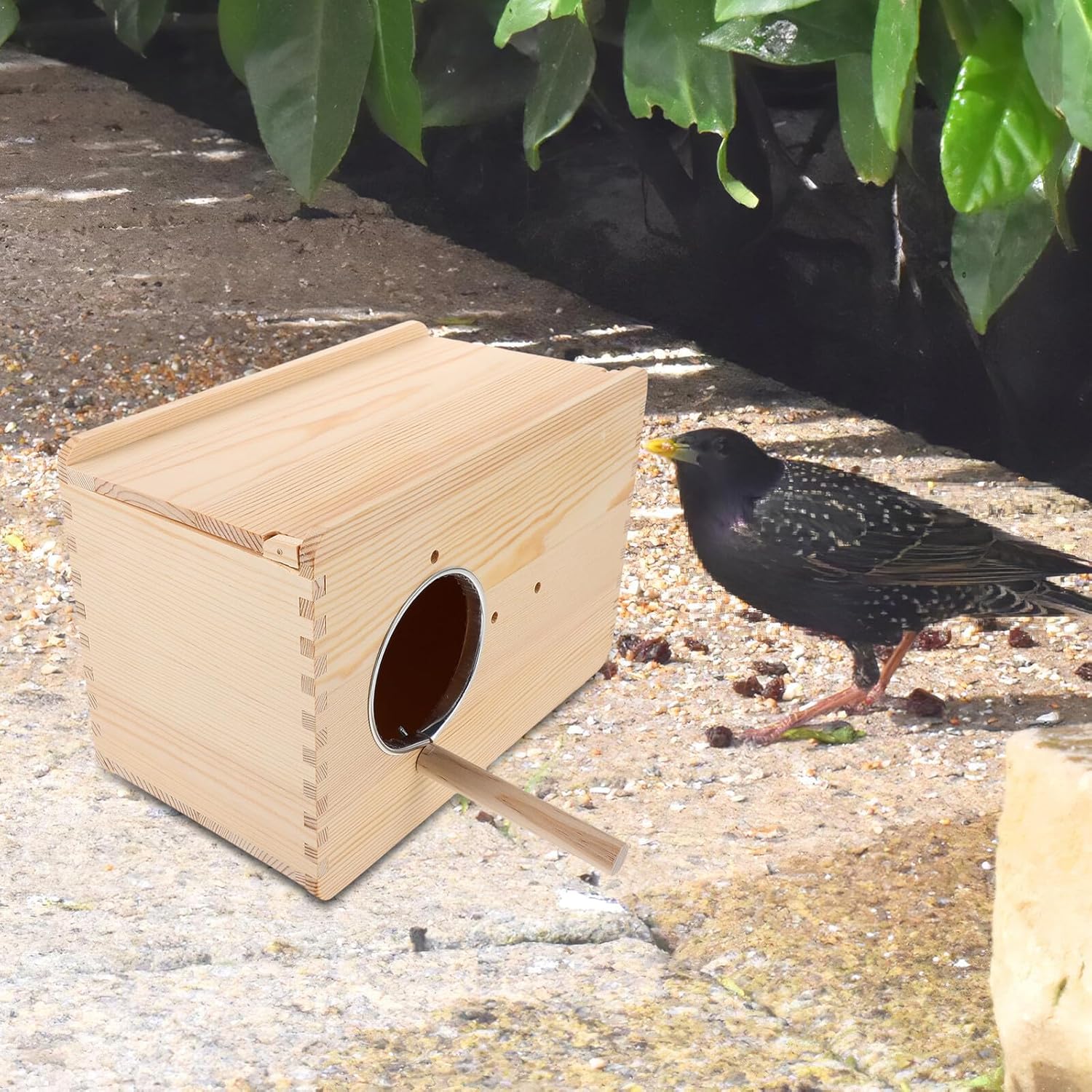 Parakeet Breeding Box Wooden Nesting Box with Observation Window Large Horizontal Breeding Nest for Cockatiels and Lovebirds Bird Cage Accessory