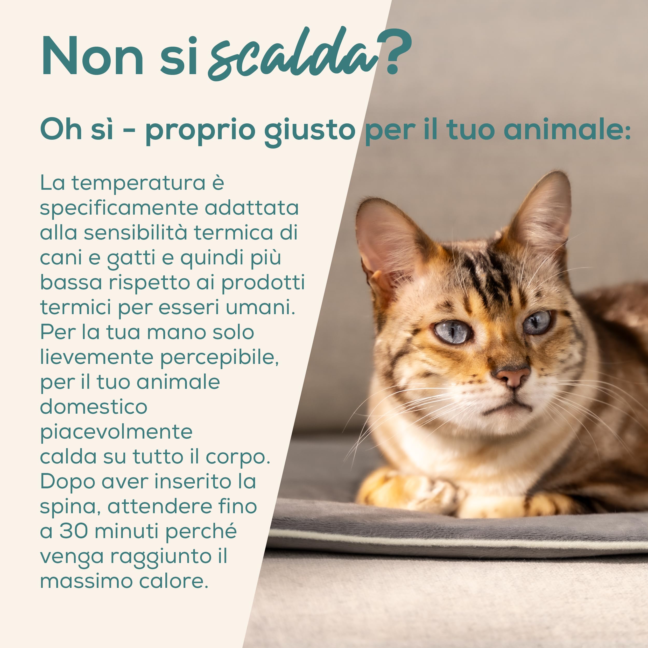 Beurer Love Your Pet Tappetino riscaldante "Lilli" per Cani e Gatti, taglia S, con Timer, termoforo piccolo per animali domestici, lavabile a 30 °C, resistente ai graffi e impermeabile, 41 x 34 cm