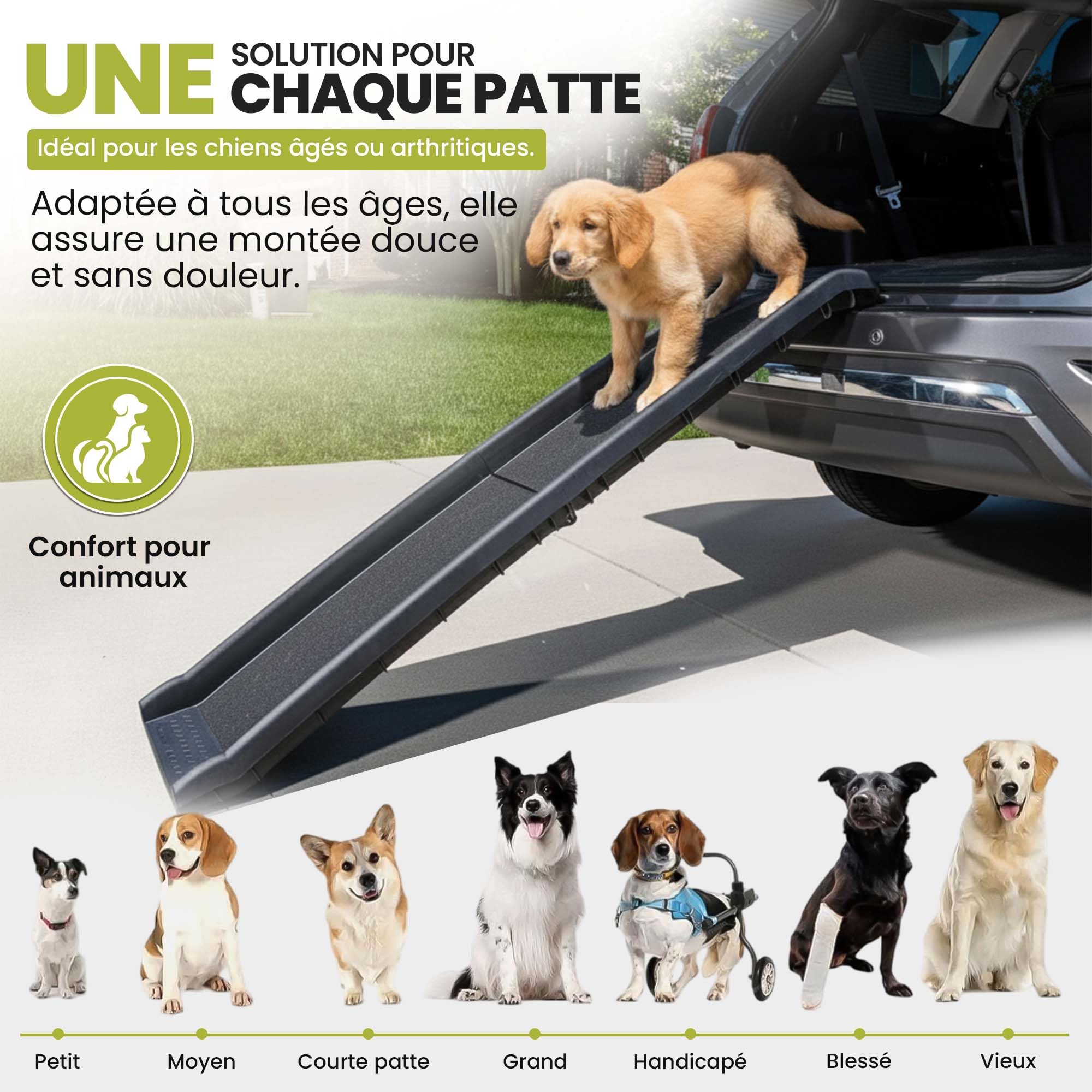 all Pets United® Rampe pour Chien et Chat Pliable Aide à l'entrée dans Le Coffre Escalier pour Animaux domestiques pour Grands et Petits Animaux (Rampe)