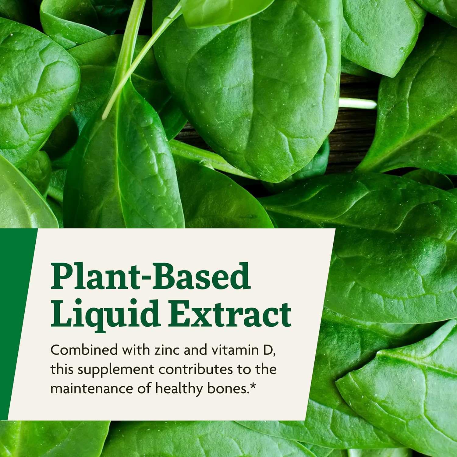 Floradix Calcium Magnesium Liquid Mineral & Vitamin Formula - Bone Support Supplement with Calcium, Magnesium, Vitamin D & Zinc - Vegetarian & Non-GMO - 16.9 fl oz