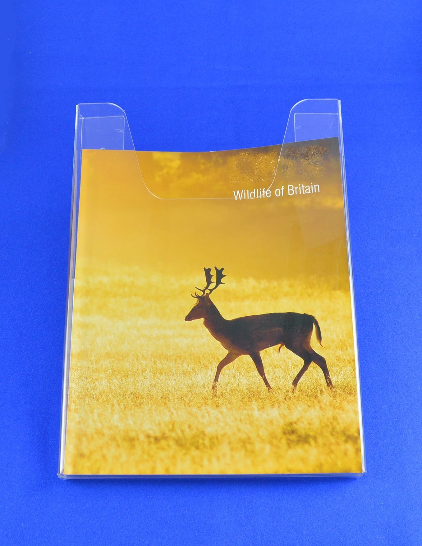 Pos Display Shop Clear A3 Portrait Wall Mountable Brochure Menu Work Sheet Leaflet Holder In 3Mm Acrylic