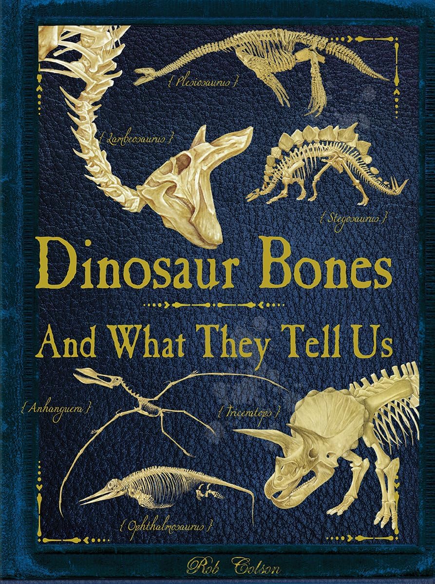 Dinosaur Bones: And What They Tell Us Paperback – Illustrated, 29 February 2016