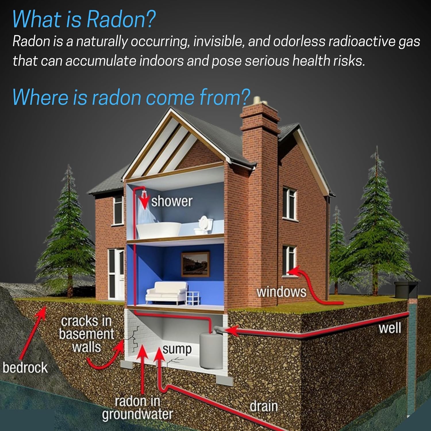Safety Siren Pro4 Plug-in Radon Detector, Continuous Radon Gas Monitoring with Audible & Visual Alarms | Short & Long-Term Radon Detection for Home, Office, & Other Indoor Living Areas | Made in USA