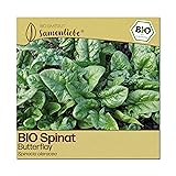 Samenliebe BIO Spinat Samen alte Sorte Butterflay mehltautoleranter Blattspinat Fr&uuml;hjahr Herbst und Winterspinat