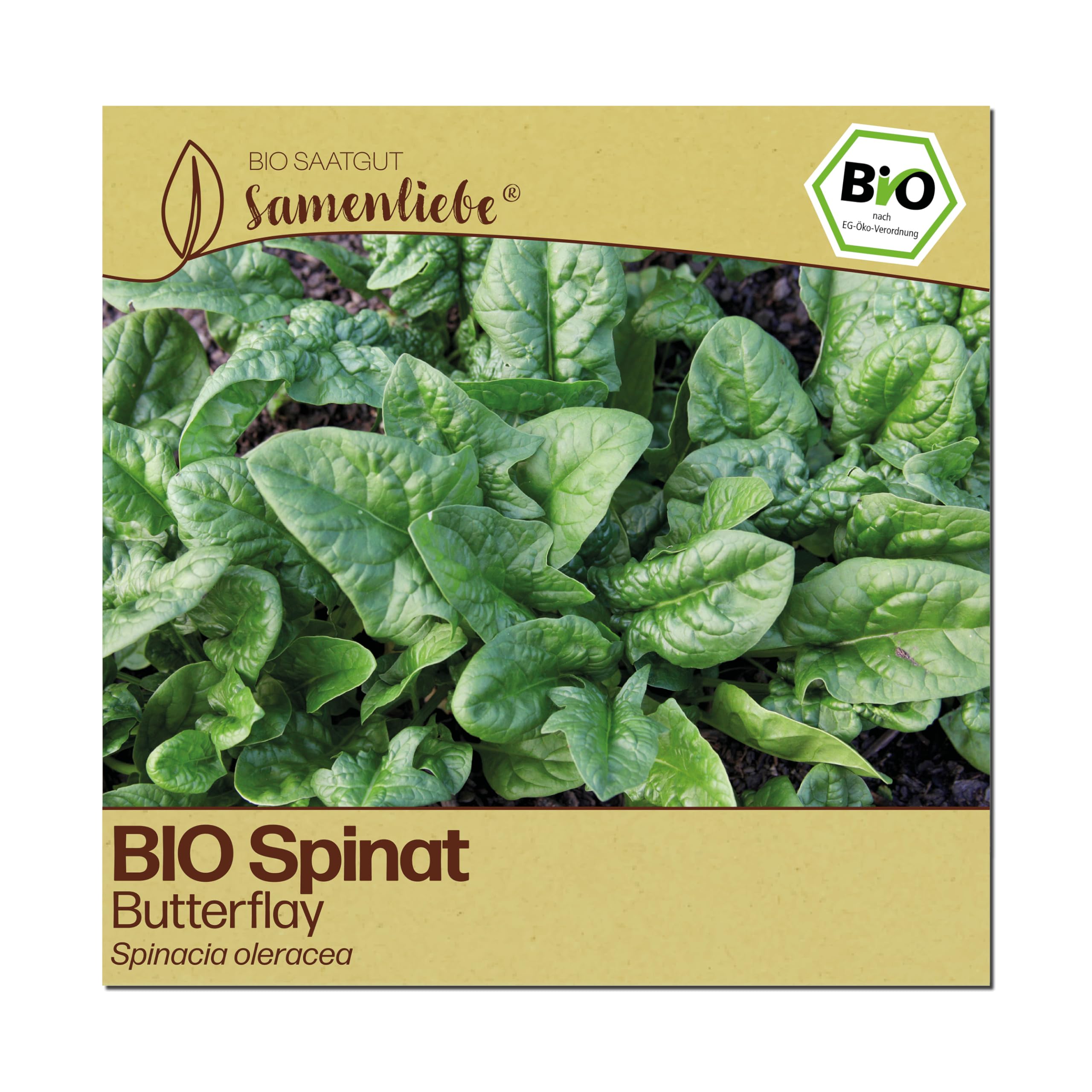 Samenliebe BIO Spinat Samen | Butterflay - winterhart - samenfestes BIO Saatgut