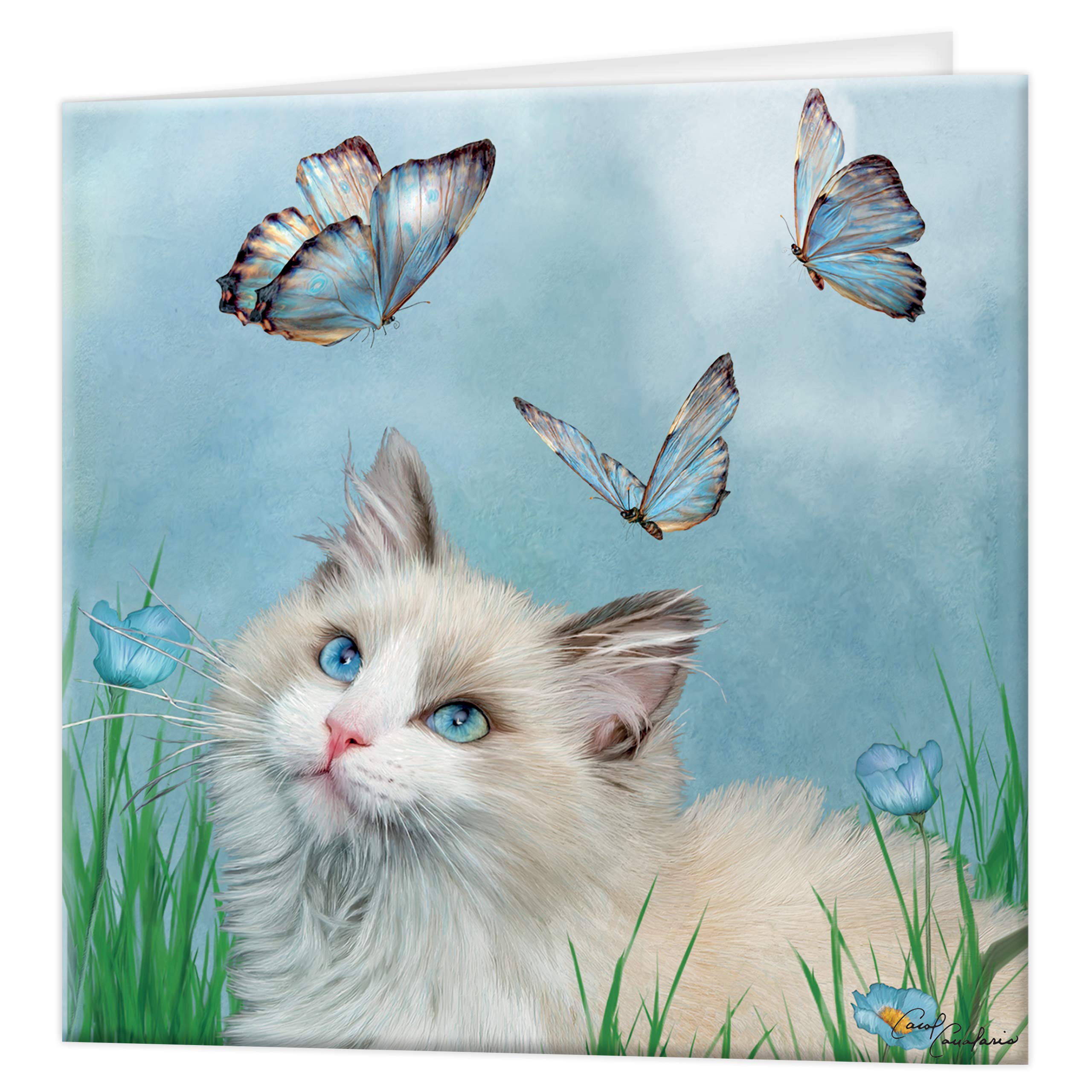 3D LiveLife Greeting Card - Ragdoll & Butterflies from Deluxebase. Blank Card with Lenticular 3D Image and Envelope. Unique Notecard for All Occasions and Premium Stationery Sets.