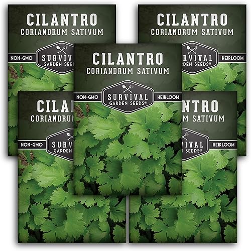 Survival Garden Seeds - Semilla de cilantro para plantar - Paquete con instrucciones para plantar y cultivar Coriandrum Sativum en tu huerto casero