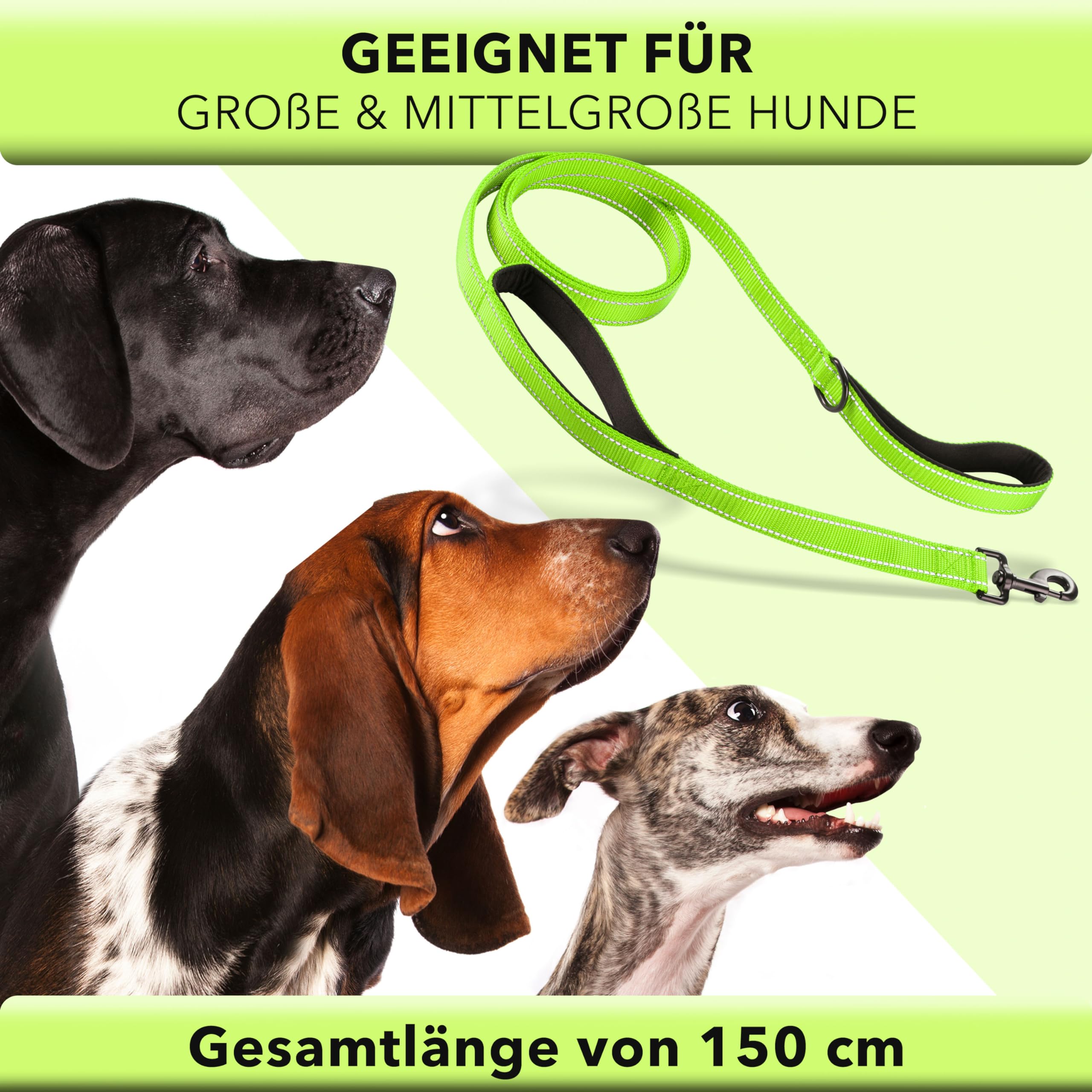 Produktbild von Fida Hundeleine, Gepolstert, Zwei Griffe, Einfacher Verschluss, Robuste Reflektierende Leinen Für Kontrolle Und Sicherheit, Für Kleine Bis Große Hunde, 1,8 M, Grau