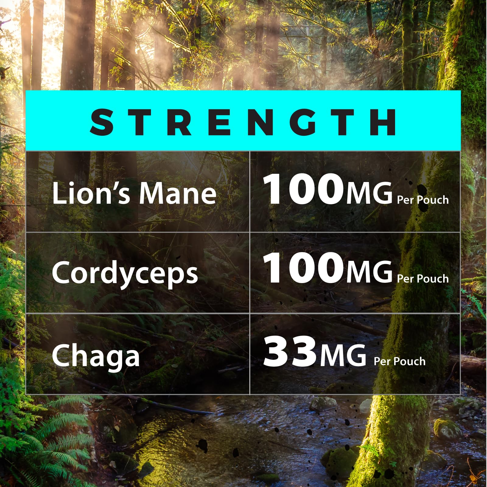 Fully Loaded Alpha Mushrooms - Adaptogen Nootropic Pouches (5-Pack, Mint) - Lion's Mane, Cordyceps, & Chaga - 75 Pouches Total (5 Cans, 15 Pouches per Can) - Functional Mushrooms - Made in the USA — Amazon image 9