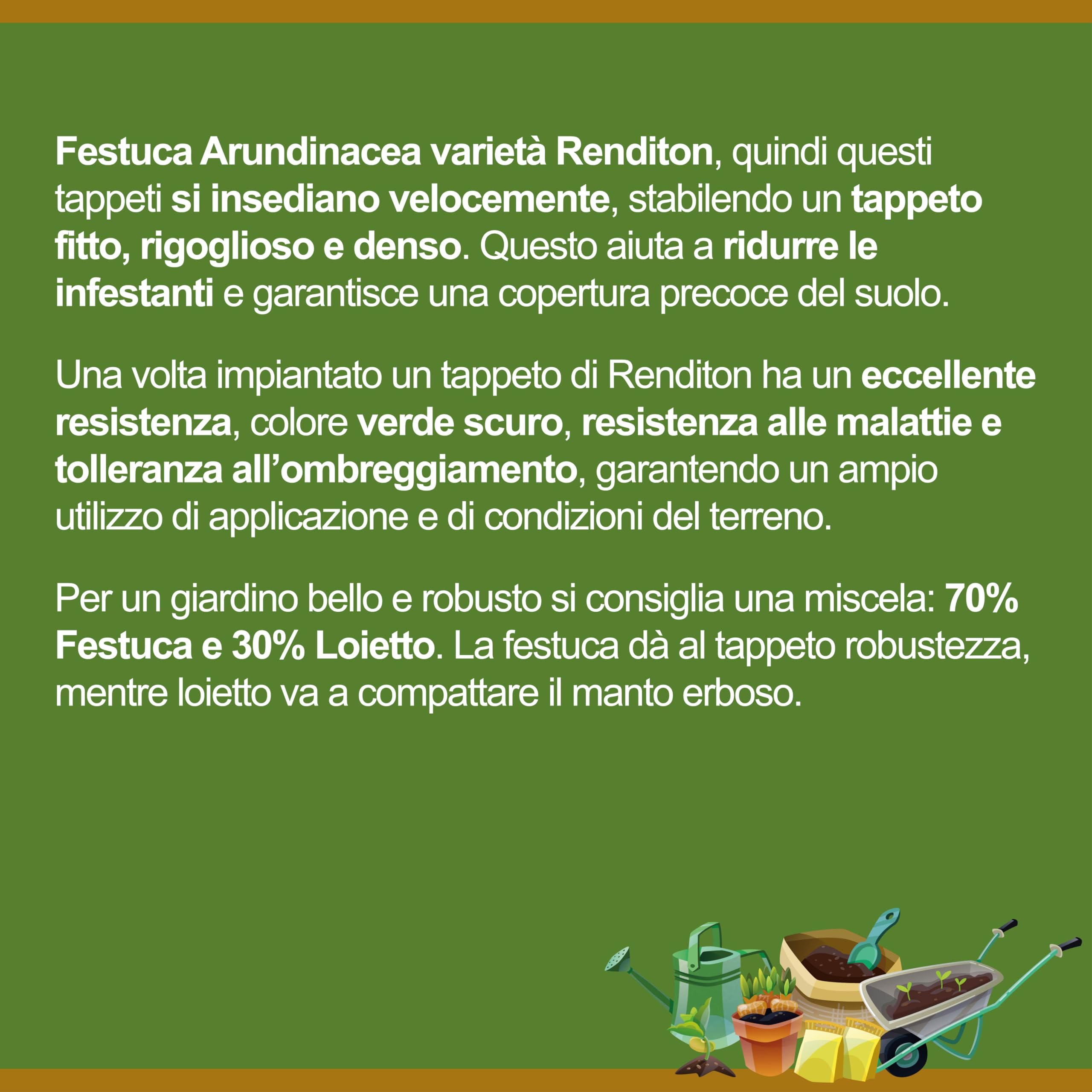 Il Contadino - Antiche Sementi | FESTUCA ARUNDINACEA | Césped, Apto para todos los lugares y tipos de suelo, excelente resistencia a la sequía, al pisado y al sombreado (5 kg)