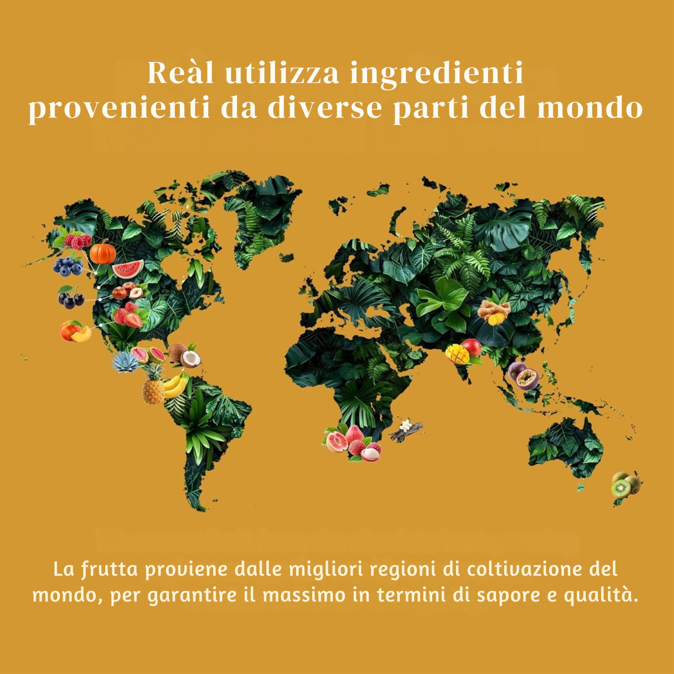 Reàl Infused Exotics, Watermelon, 500 ml, Sciroppo di Anguria, Vegano, Squeeze Bottle, Ideale per Cocktail, Bevande Fresche, Dessert e Piatti Estivi
