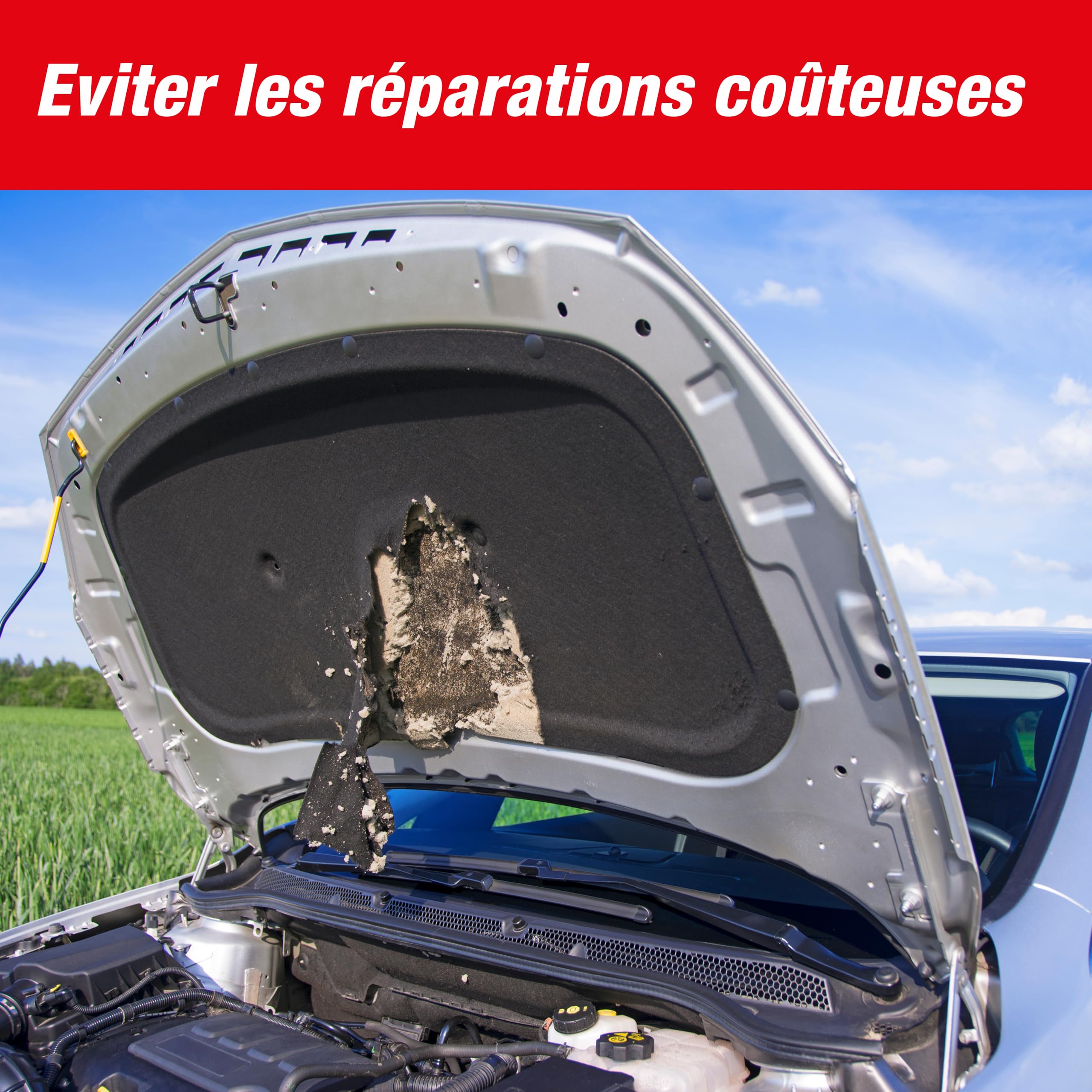 SWISSINNO Anti-Martres de Voiture, Ultrason Anti Rongeur pour Voiture Martres Repeller Repulsif Parfait pour Fouine Grenier, Maison, Jardin, Garage, Alimentation 12V Connexion à La Batterie de Voiture