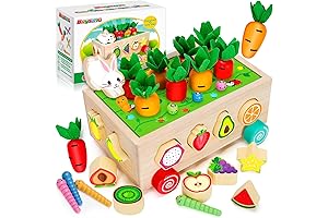 Montessori Carrot Toy for Toddlers - Shape Sorter Fun