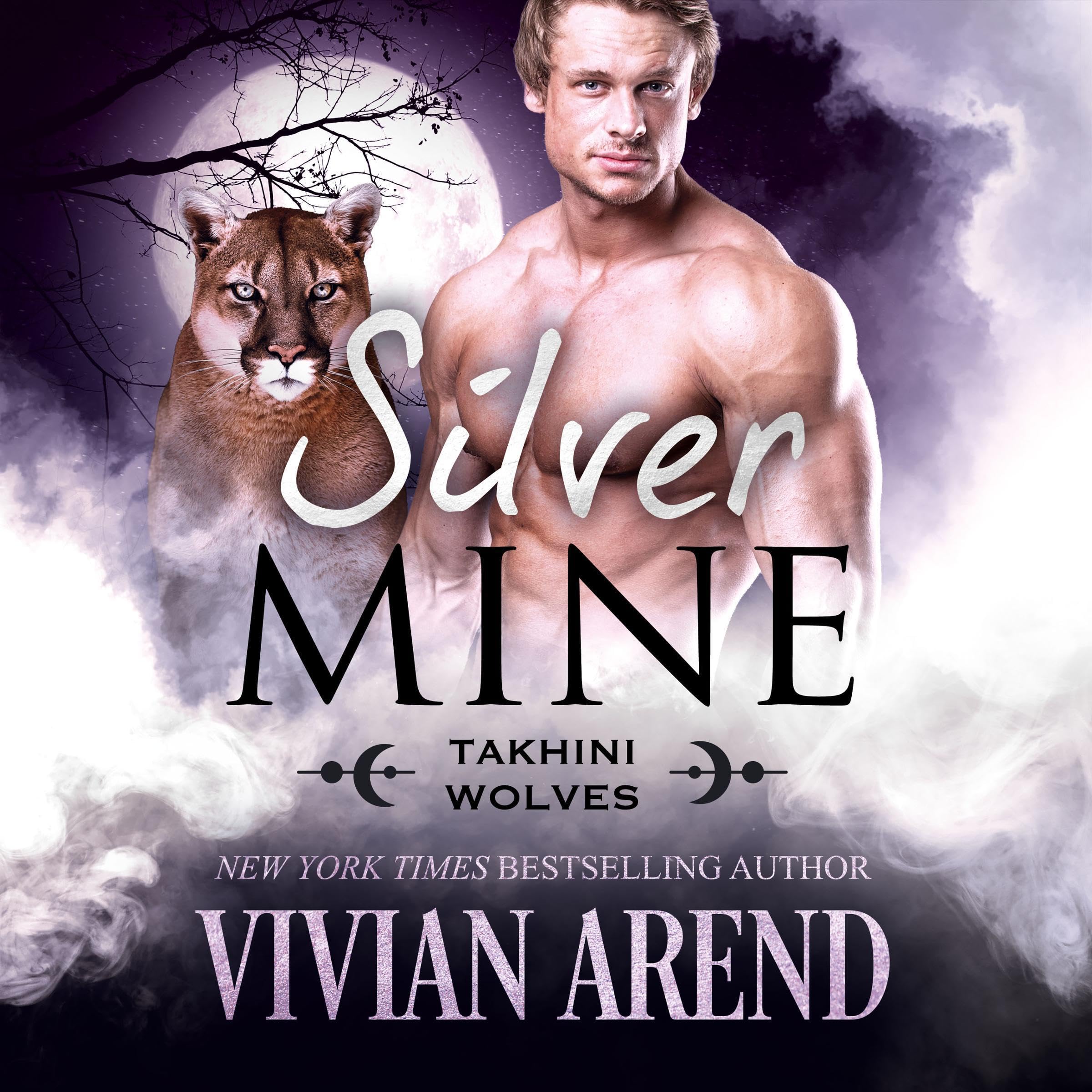 Cover art for Silver Mine