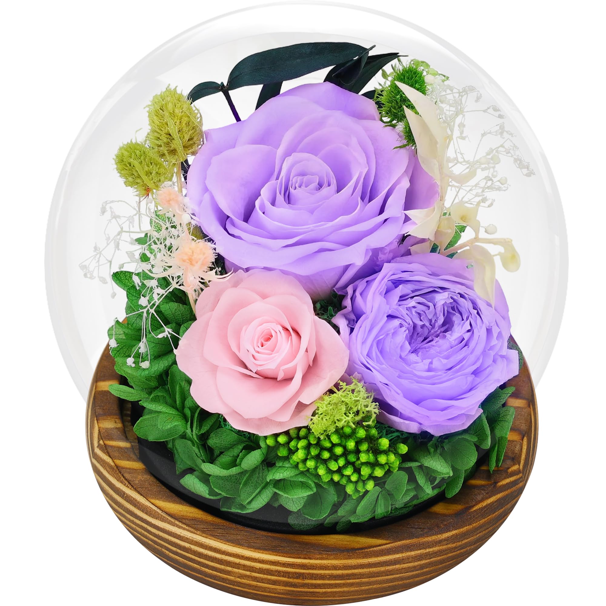 SAKSUN Preserved Flowers Birthday Gifts for Women: Flowers for Delivery Prime - Rose in Glass Dome & LED Light - Eternal Love Colorful for Mom Wife